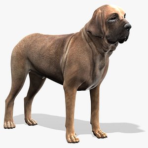 Fila Brasileiro