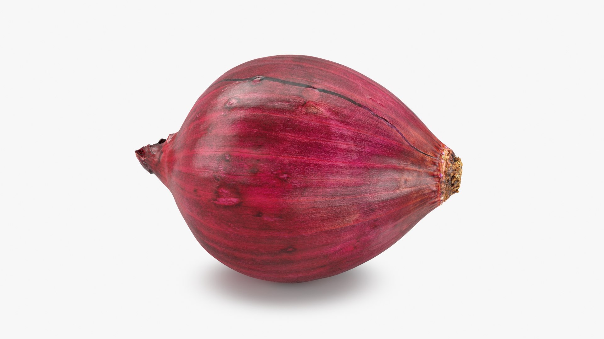 3D model Red Onion 2 https://p.turbosquid.com/ts-thumb/0Q/2gXbBJ/15/redonion_2_a0001/jpg/1696238799/1920x1080/fit_q87/9132b45e538508153fd012c0ae7f750c0b004ec8/redonion_2_a0001.jpg
