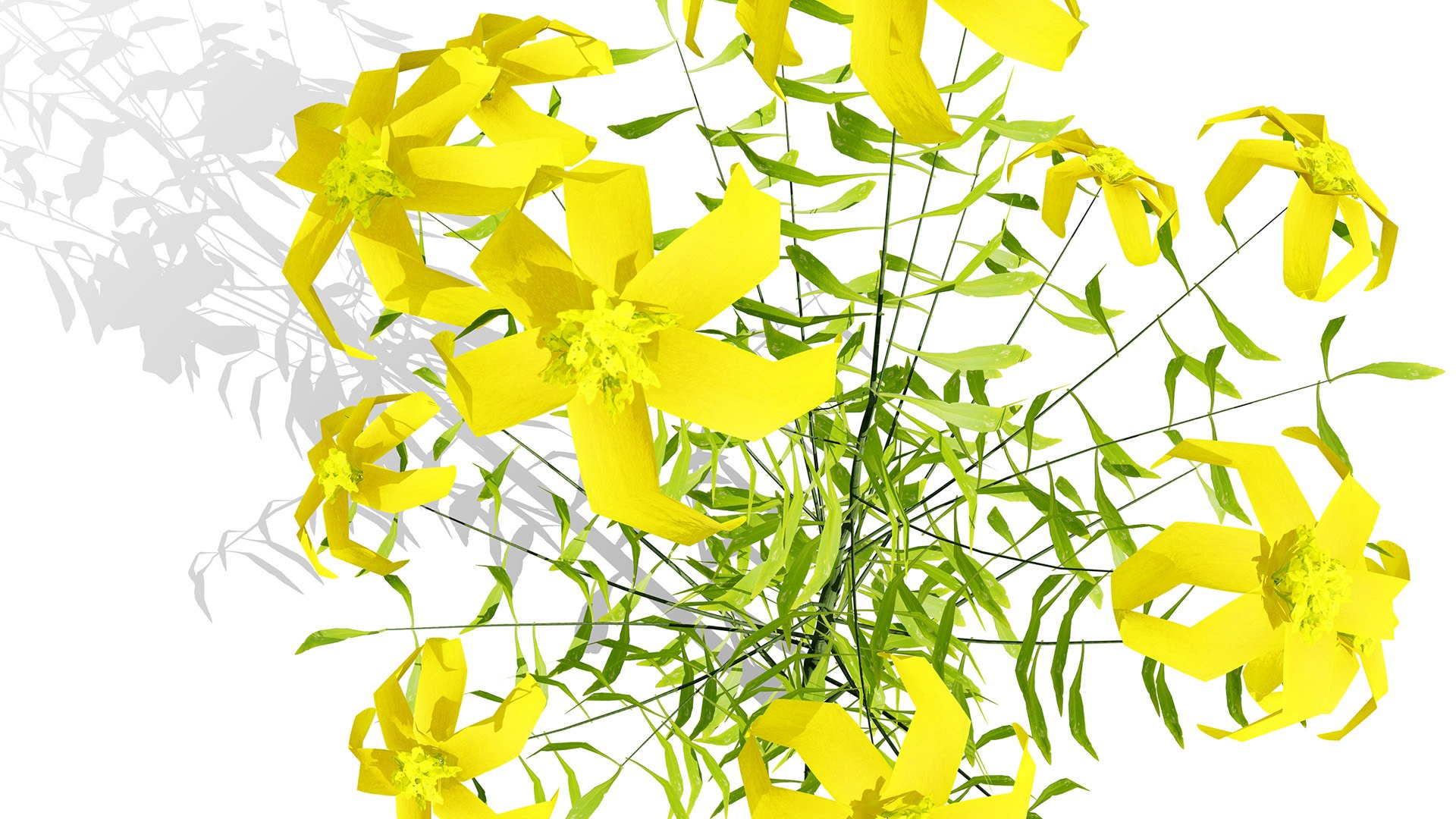 3D Arabian Peninsula Native Plants Collection https://p.turbosquid.com/ts-thumb/0Q/5VP1K7/0d/arabianhypericumcollenettiaez1l/jpg/1769304933/1920x1080/fit_q87/6019815cb115889e34a2b4a30c141dcd9e6f2f98/arabianhypericumcollenettiaez1l.jpg