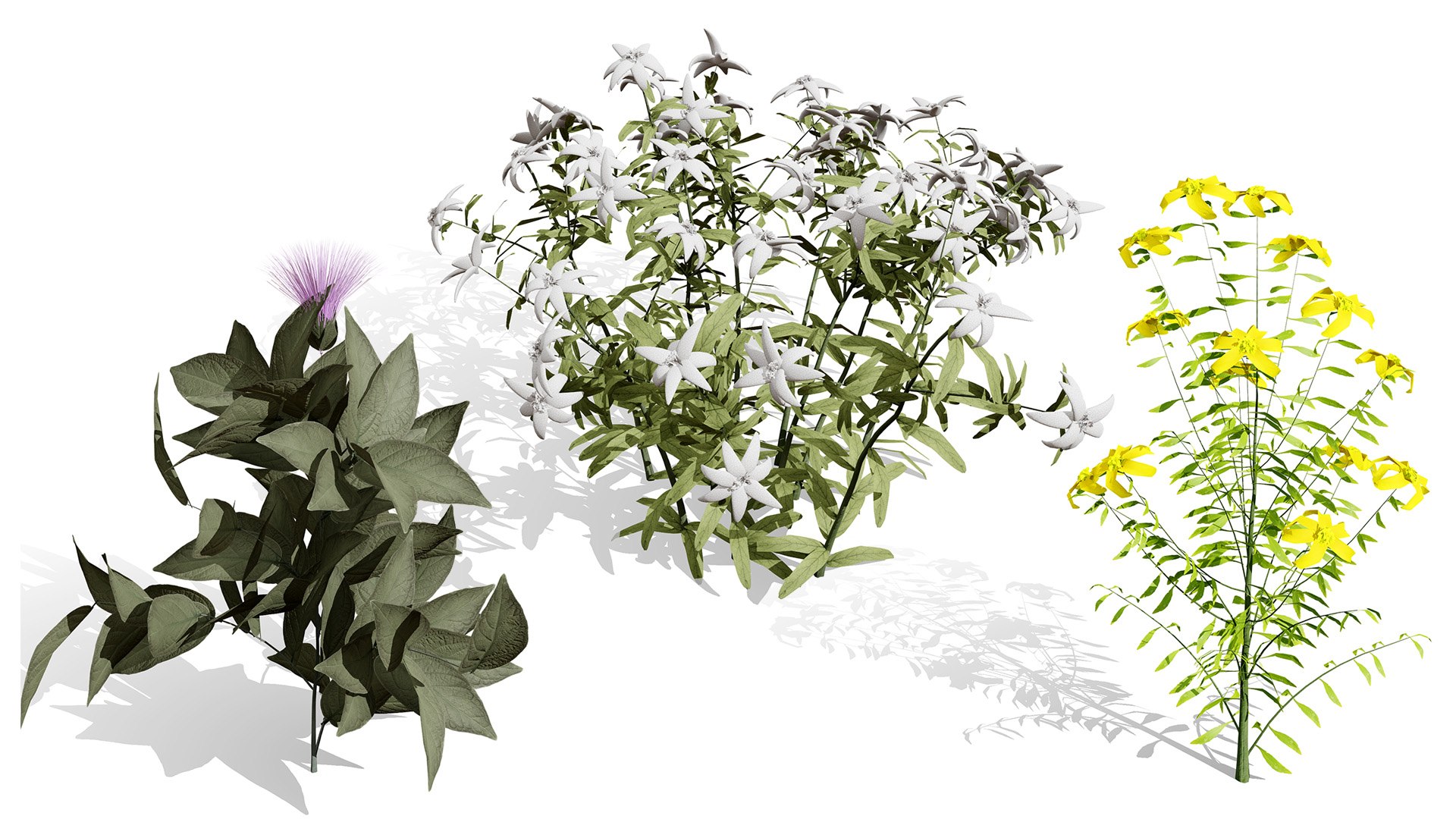 3D Arabian Peninsula Native Plants Collection https://p.turbosquid.com/ts-thumb/0Q/5VP1K7/4M/hnartcoverarabianhypericumcollenettiae/jpg/1769304942/1920x1080/fit_q87/cf58dc6b6f542e68b313590741c007f31ba9b5b1/hnartcoverarabianhypericumcollenettiae.jpg