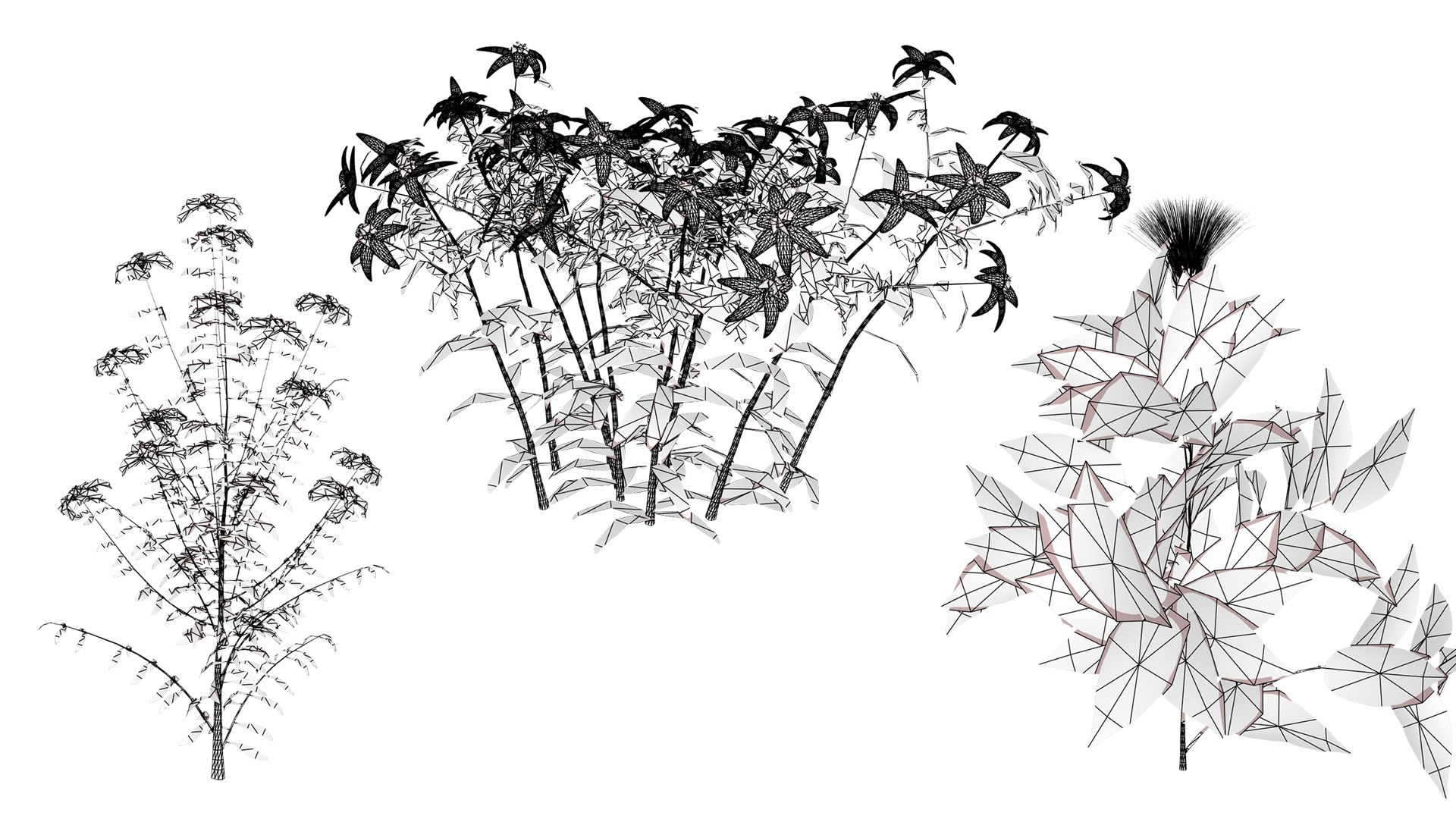 3D Arabian Peninsula Native Plants Collection https://p.turbosquid.com/ts-thumb/0Q/5VP1K7/Eh/zwirel/jpg/1769304948/1920x1080/fit_q87/abbe62ae3f45ed5509161e38bea8fb6cb013d199/zwirel.jpg