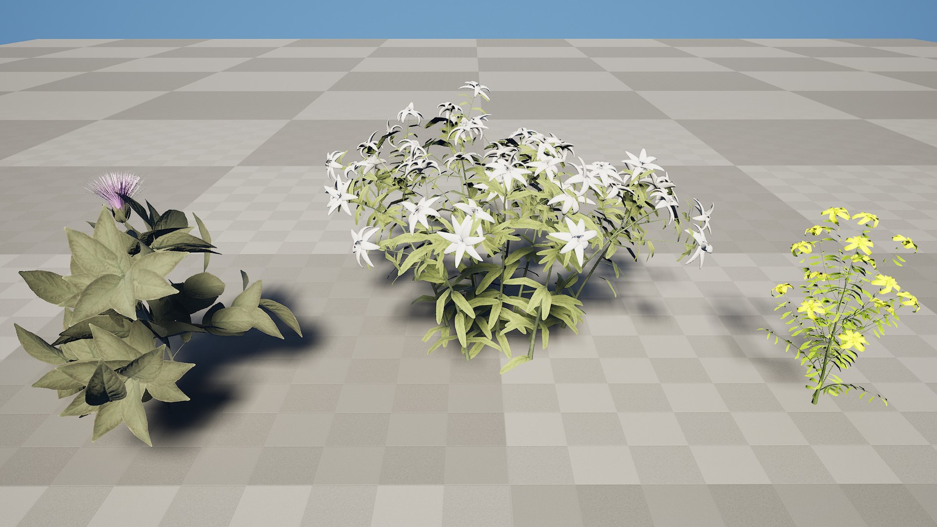 3D Arabian Peninsula Native Plants Collection https://p.turbosquid.com/ts-thumb/0Q/5VP1K7/Oy/highresscreenshot00001/jpg/1769304938/1920x1080/fit_q87/64d3d84bc9820b9c47eec970bbb2d1ae0e116731/highresscreenshot00001.jpg