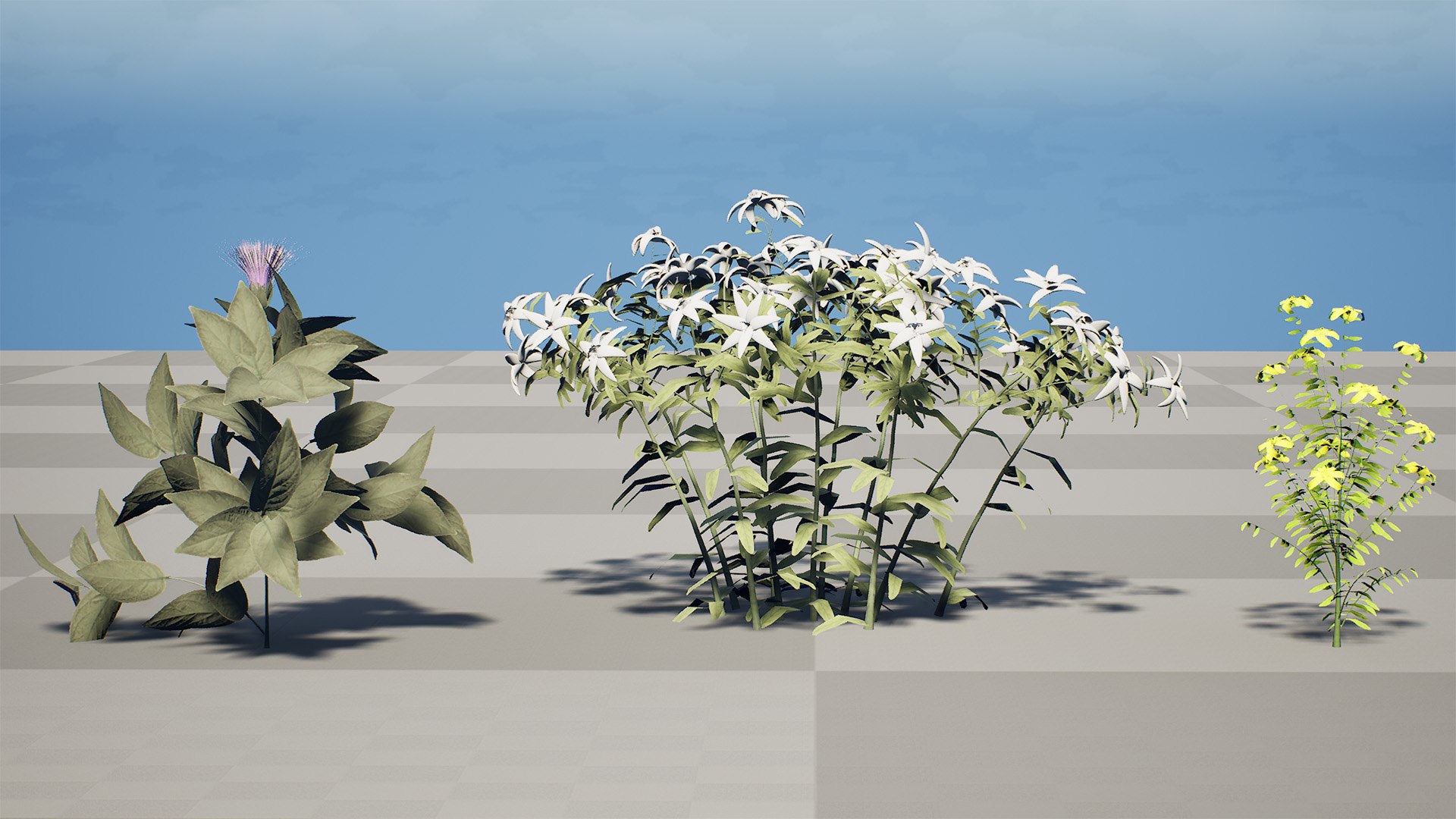 3D Arabian Peninsula Native Plants Collection https://p.turbosquid.com/ts-thumb/0Q/5VP1K7/hA/highresscreenshot00000/jpg/1769304936/1920x1080/fit_q87/adaa44cda6c429f8cec8add9885d4804c7a5039c/highresscreenshot00000.jpg