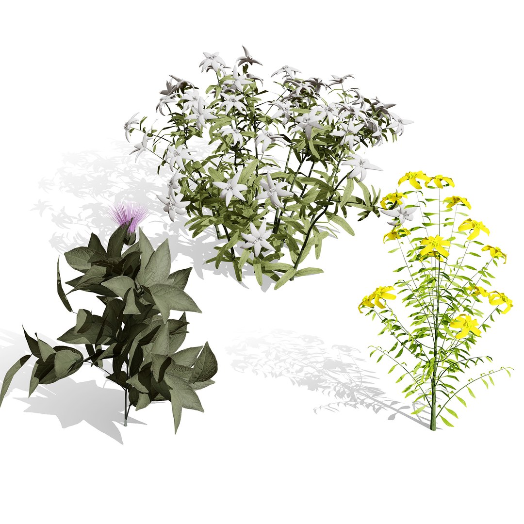 3D Arabian Peninsula Native Plants Collection https://p.turbosquid.com/ts-thumb/0Q/5VP1K7/rM/0000coverarabianhypericumcollenettiae/jpg/1769304932/1920x1080/fit_q87/03796c43180339d6256056ee69c8758c2bf0f981/0000coverarabianhypericumcollenettiae.jpg