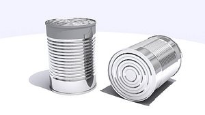3d tin model