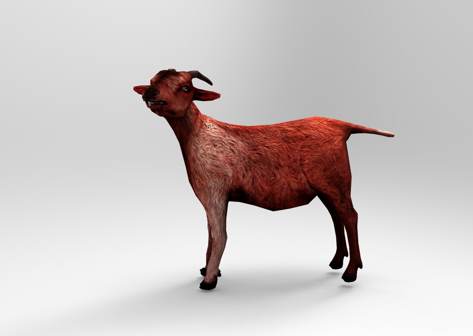 goat rigged max