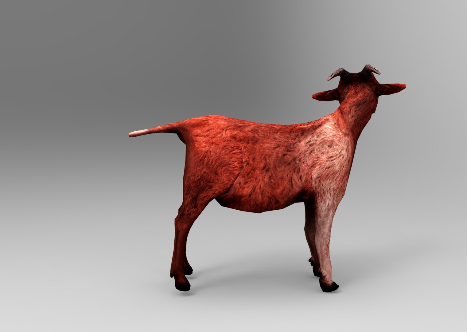 goat rigged max