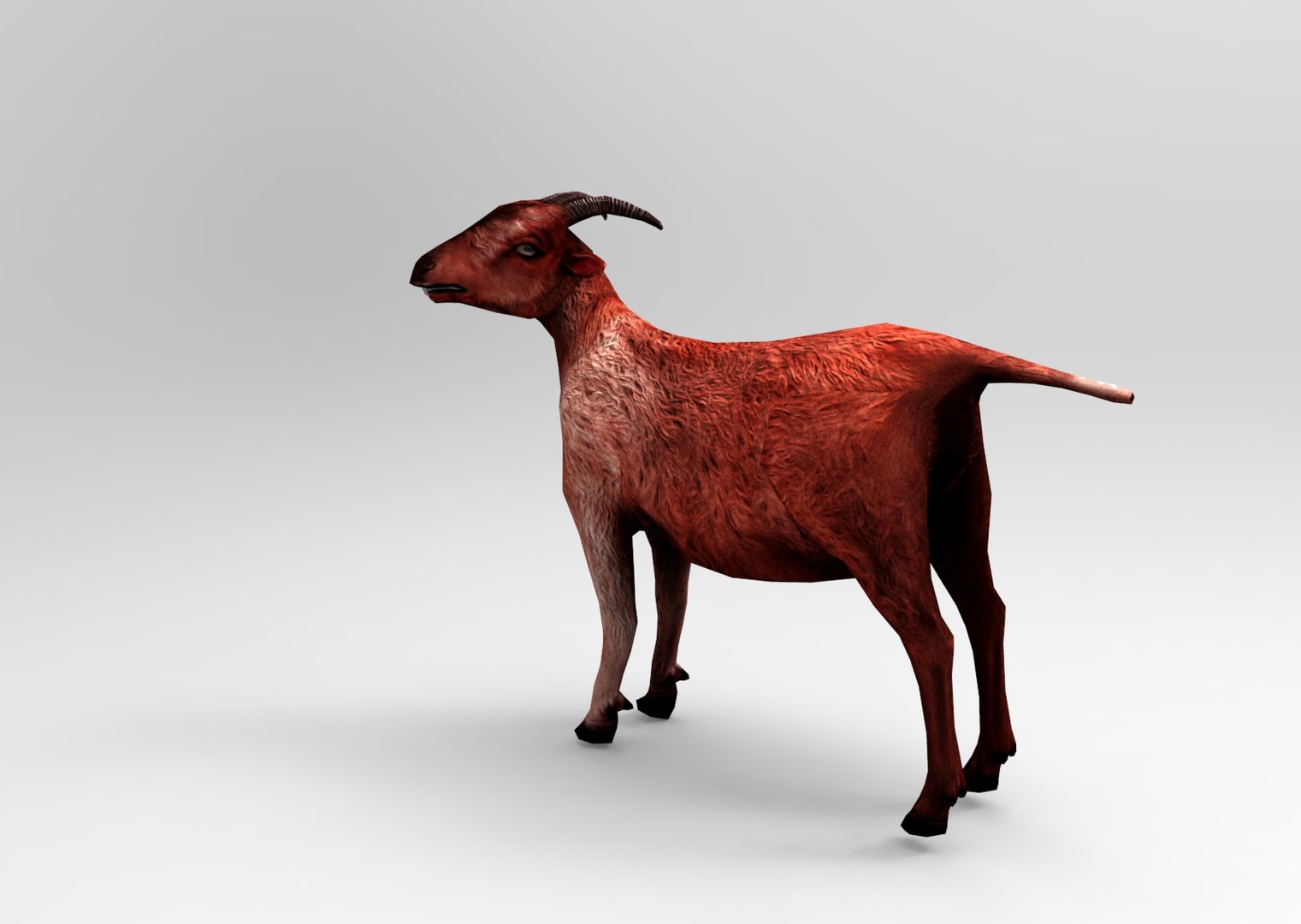 goat rigged max