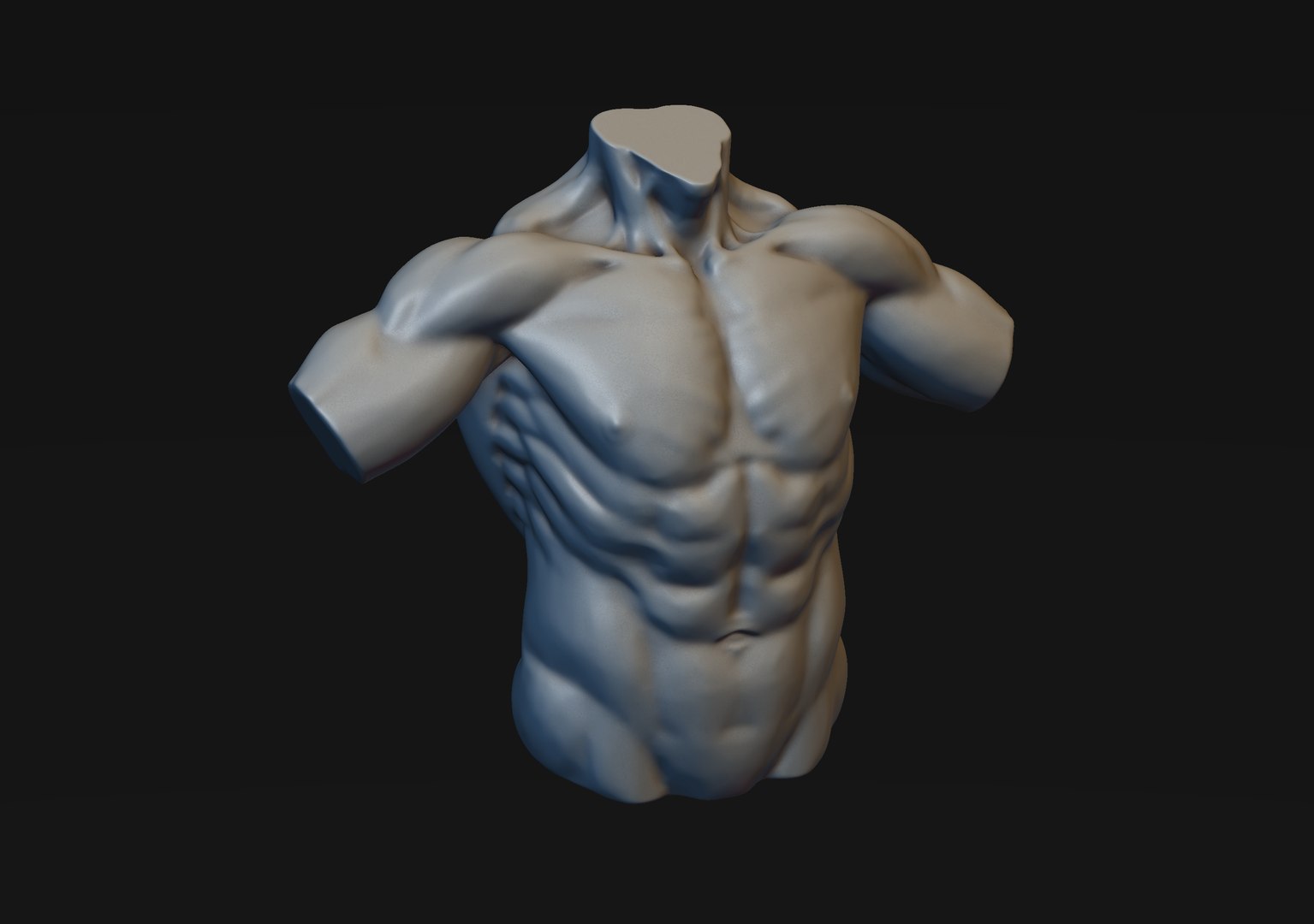 Male Torso 3D Model - TurboSquid 1875387