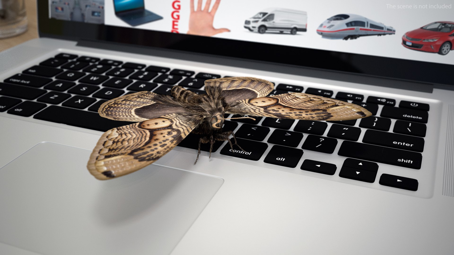 3D model Brahmaea Wallichii Butterfly Fur https://p.turbosquid.com/ts-thumb/0Q/MszheN/ci/brahmaeawallichiibutterflyfur3dsmodel006/jpg/1629407301/1920x1080/fit_q87/b2e74ca615594026cadfdf84fe5e9b4e9e65351a/brahmaeawallichiibutterflyfur3dsmodel006.jpg