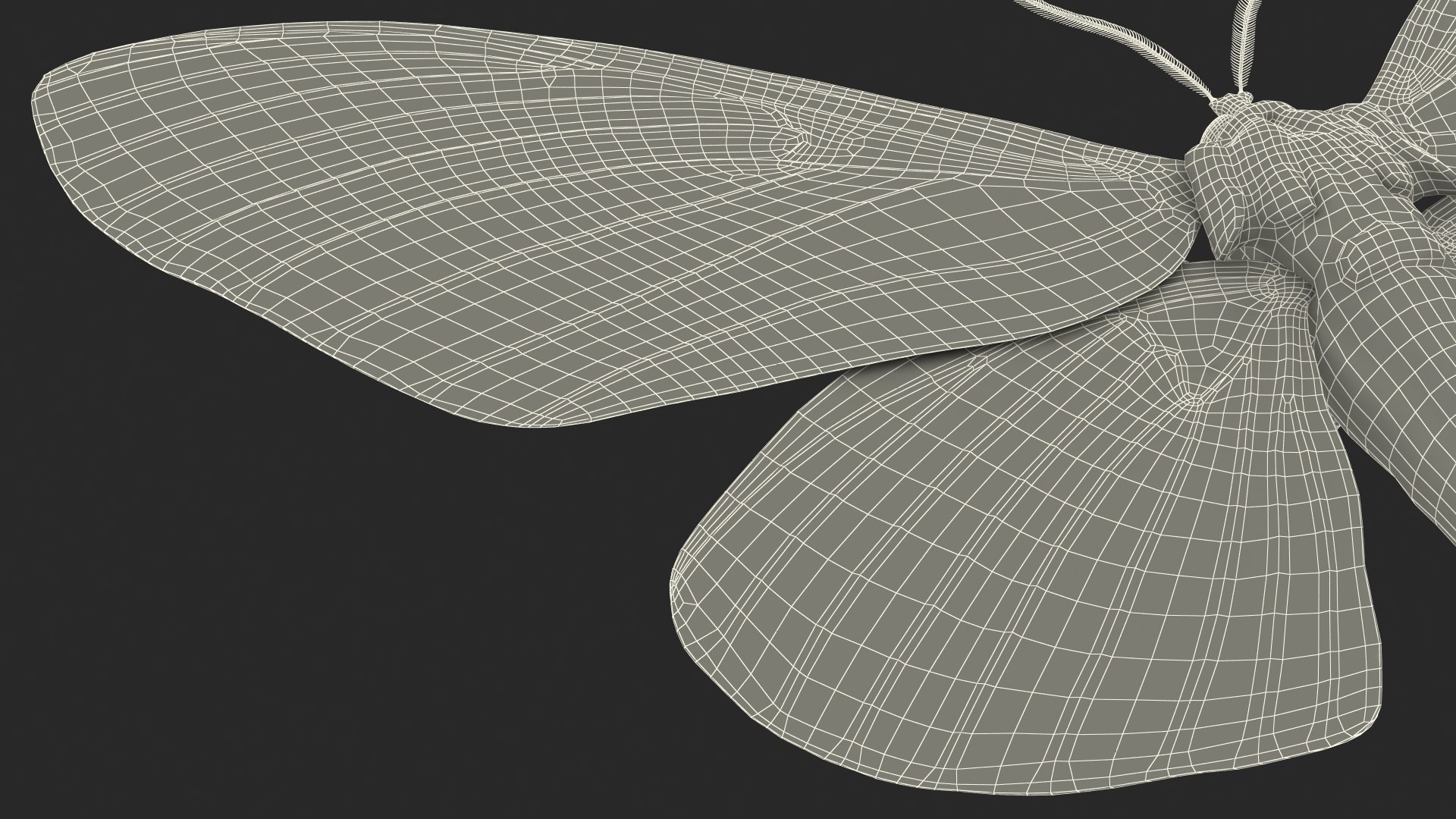 3D model Brahmaea Wallichii Butterfly Fur https://p.turbosquid.com/ts-thumb/0Q/MszheN/jt/brahmaeawallichiibutterflyfur3dsmodel031/jpg/1629407376/1920x1080/fit_q87/979d3527ebd9c7d8472549981fd20acc59f9c5f8/brahmaeawallichiibutterflyfur3dsmodel031.jpg
