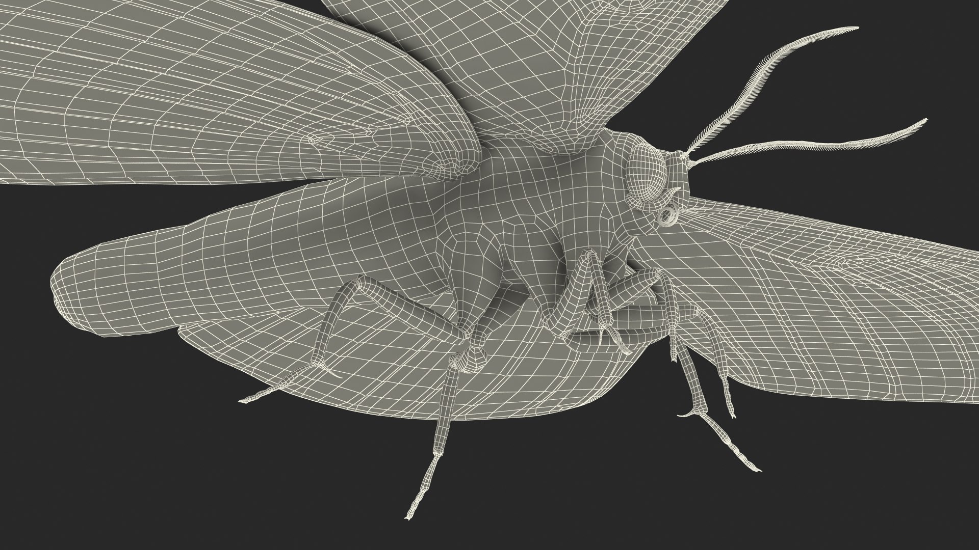 3D model Brahmaea Wallichii Butterfly Fur https://p.turbosquid.com/ts-thumb/0Q/MszheN/qS/brahmaeawallichiibutterflyfur3dsmodel030/jpg/1629407373/1920x1080/fit_q87/e24994e293b46d85872dbfe3534ac505fdf405b9/brahmaeawallichiibutterflyfur3dsmodel030.jpg