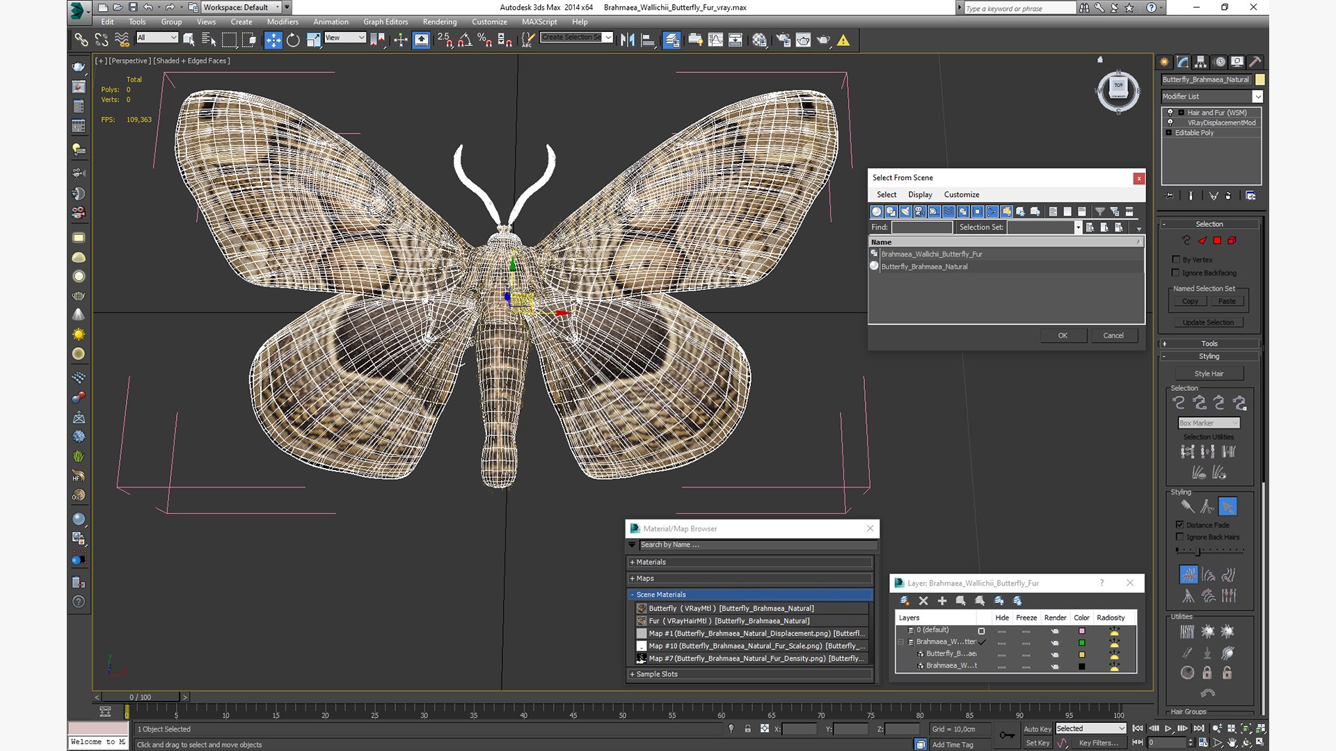 3D model Brahmaea Wallichii Butterfly Fur https://p.turbosquid.com/ts-thumb/0Q/MszheN/qV/brahmaeawallichiibutterflyfur3dsmodel028/jpg/1629407367/1920x1080/fit_q87/81597089ee08d6895057ecd3ff87857041abfd62/brahmaeawallichiibutterflyfur3dsmodel028.jpg
