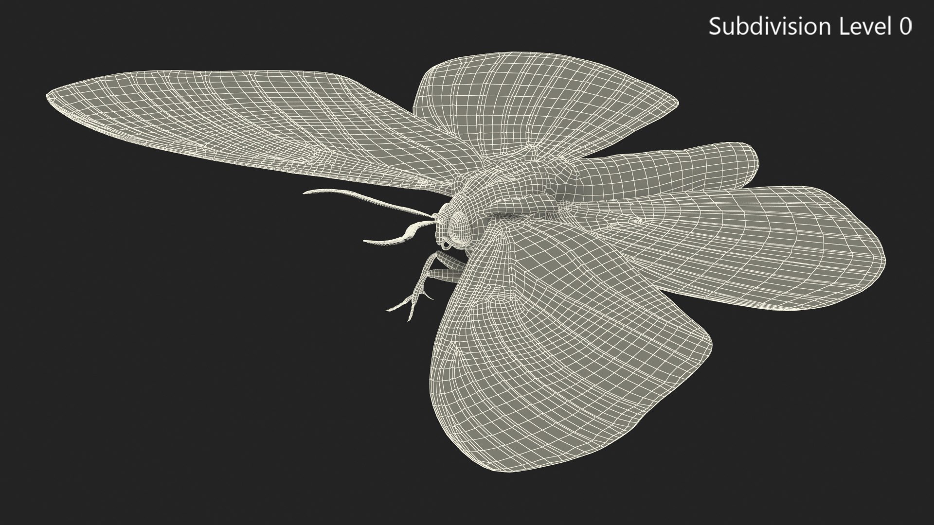 3D model Brahmaea Wallichii Butterfly Fur https://p.turbosquid.com/ts-thumb/0Q/MszheN/td/brahmaeawallichiibutterflyfur3dsmodel023/jpg/1629407352/1920x1080/fit_q87/dec406dc26739ca6bee2c0d557c106c160e845ac/brahmaeawallichiibutterflyfur3dsmodel023.jpg