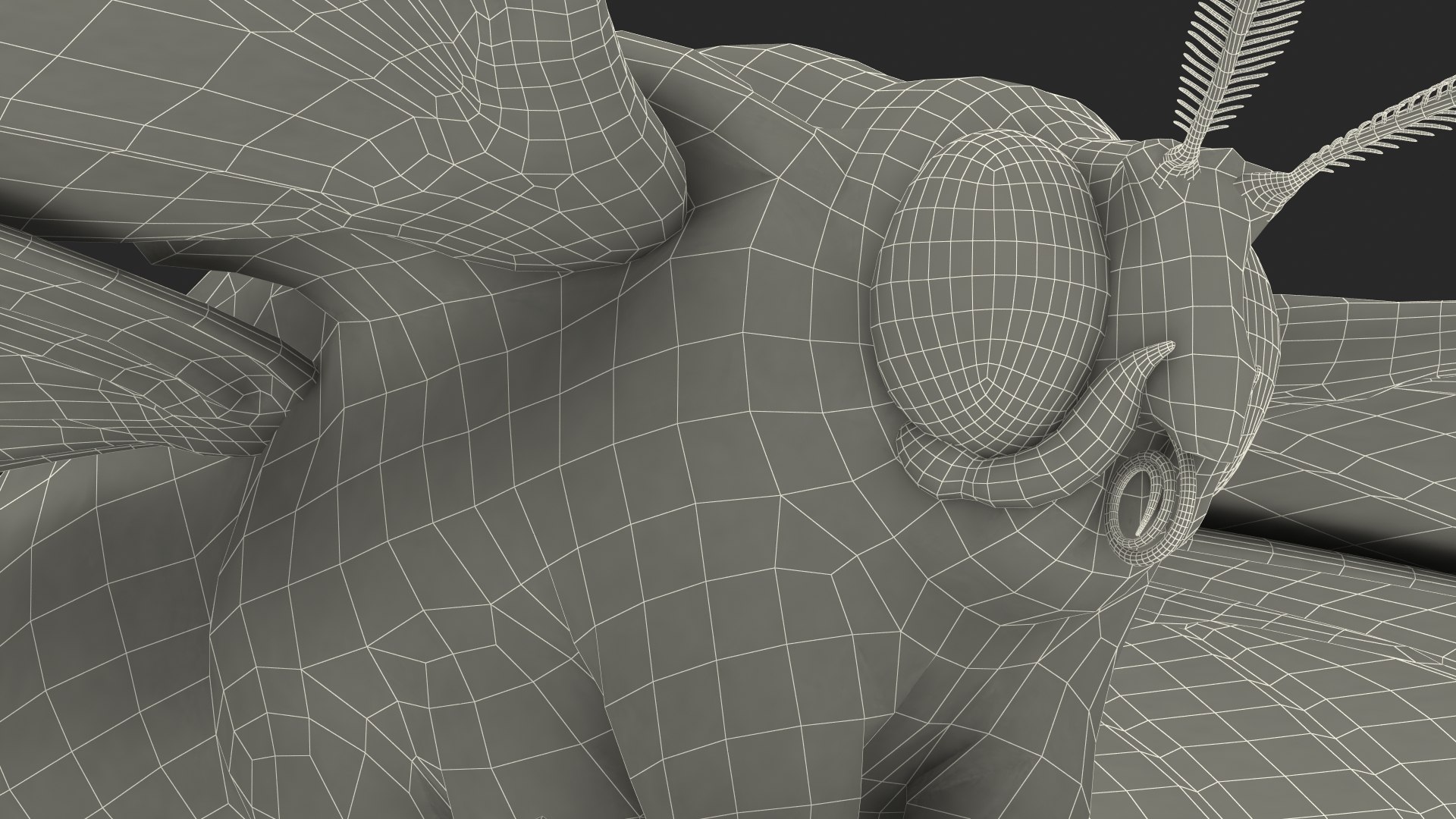 3D model Brahmaea Wallichii Butterfly Fur https://p.turbosquid.com/ts-thumb/0Q/MszheN/uz/brahmaeawallichiibutterflyfur3dsmodel033/jpg/1629407382/1920x1080/fit_q87/e52d80b510414b7729a86211b9eb3dec7d903d27/brahmaeawallichiibutterflyfur3dsmodel033.jpg