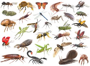 30 Insects Rigged Collection