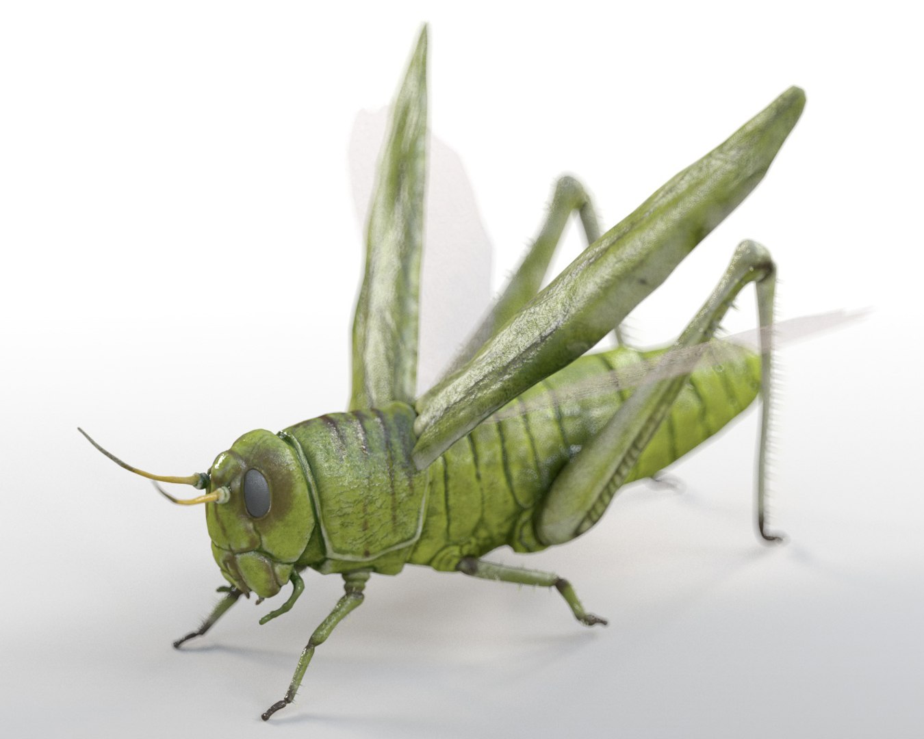 3D rigged 30 model https://p.turbosquid.com/ts-thumb/0Q/TCPYah/8HnPIVCZ/1/jpg/1586185599/1920x1080/fit_q87/09db345838632b1a3c9b8d685c2dfbacd3b50cd3/1.jpg