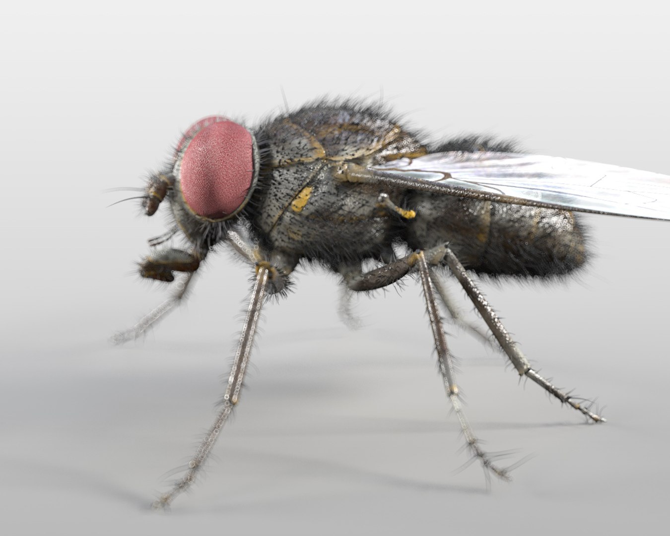 3D rigged 30 model https://p.turbosquid.com/ts-thumb/0Q/TCPYah/8WPkQDa3/2/jpg/1586185667/1920x1080/fit_q87/d53697bd9c41f132094e88acc3fa39369b8ff0e8/2.jpg
