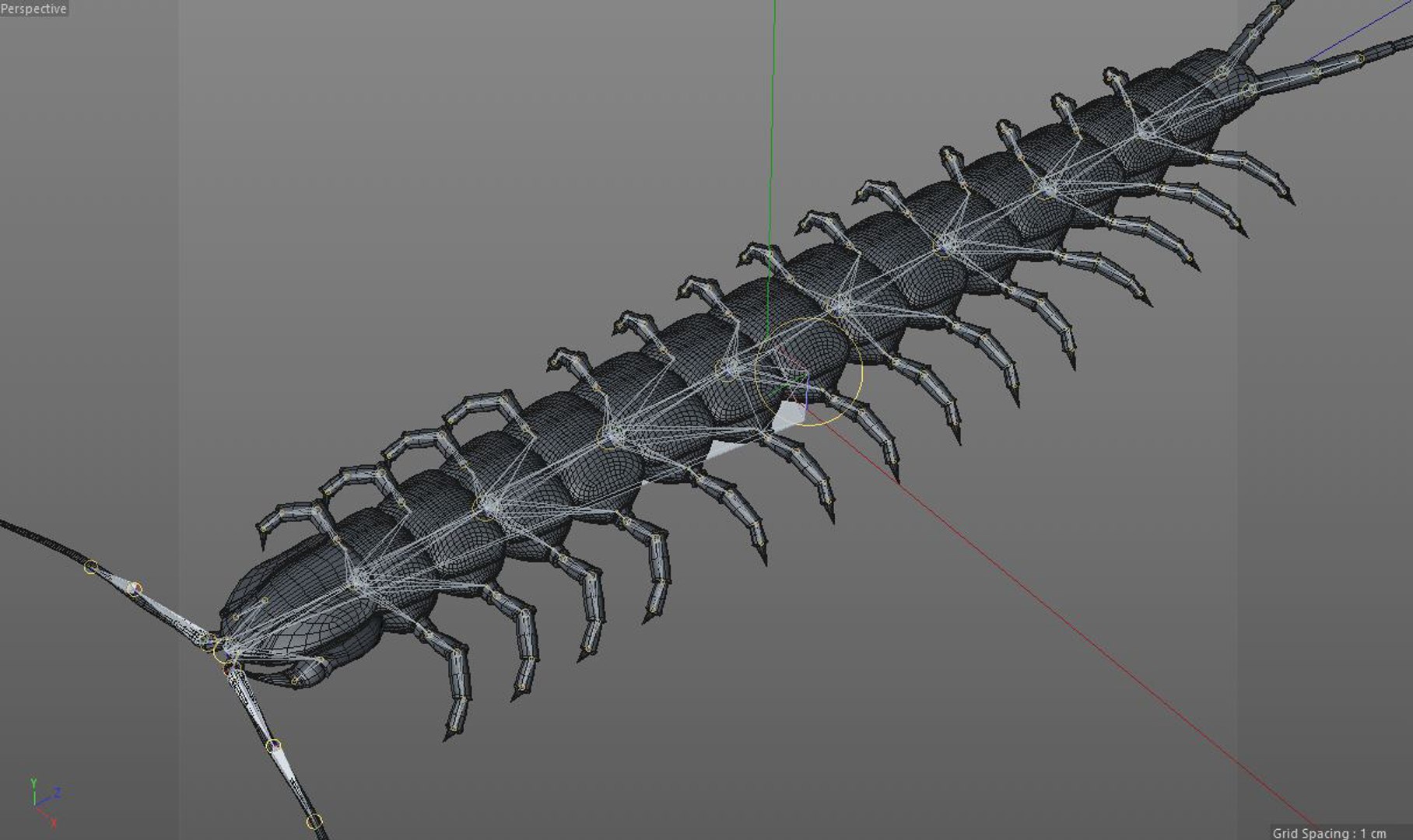 3D rigged 30 model https://p.turbosquid.com/ts-thumb/0Q/TCPYah/HSZ1lM6o/centipede14/jpg/1586185492/1920x1080/fit_q87/be01b8651efcfdc15dafce31ec72172d3f669146/centipede14.jpg