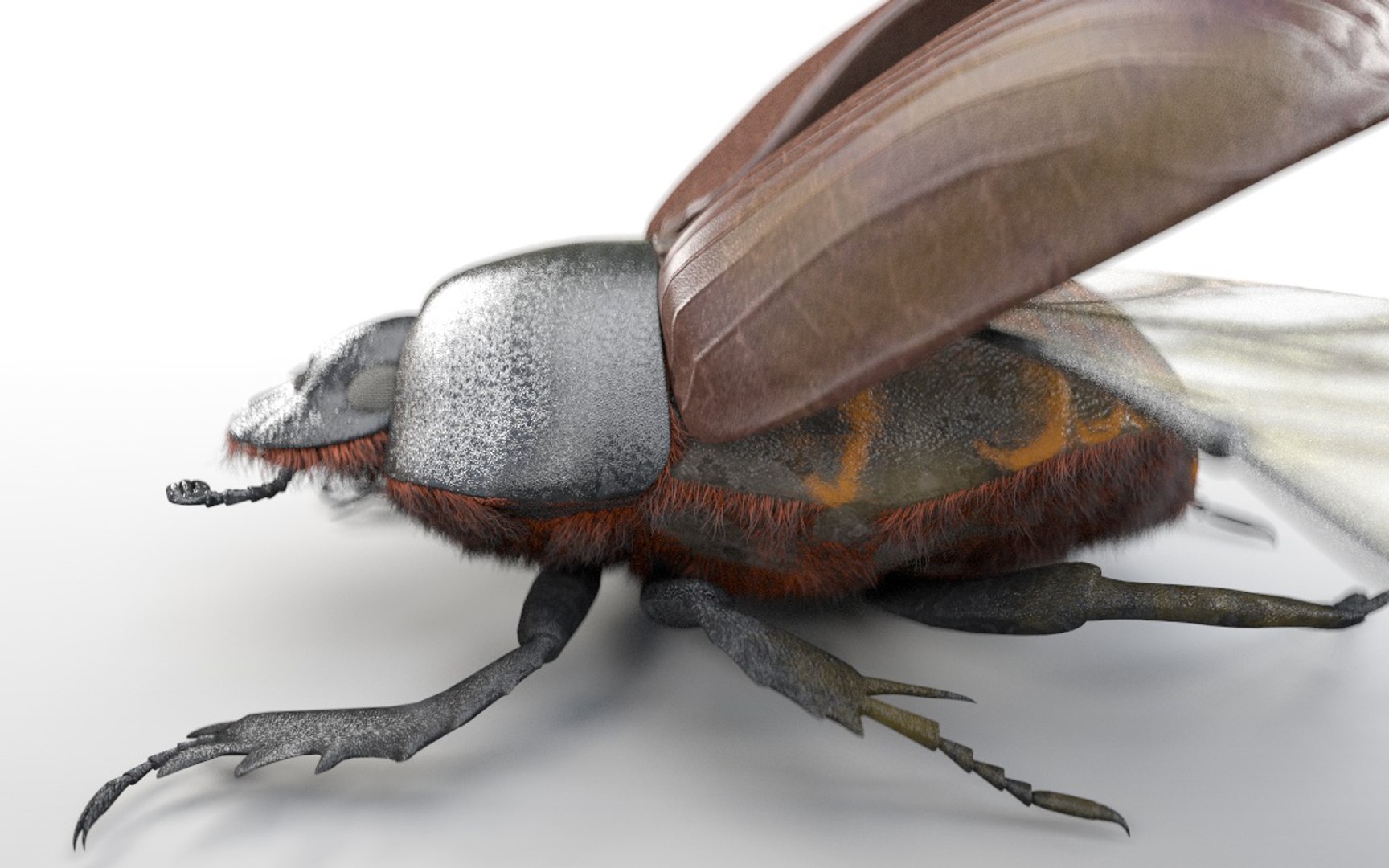3D rigged 30 model https://p.turbosquid.com/ts-thumb/0Q/TCPYah/Hqj8ah1p/dungbeetle2/jpg/1586185529/1920x1080/fit_q87/eeb5c2117b4ceae164d2bfada3906b73d33ee692/dungbeetle2.jpg