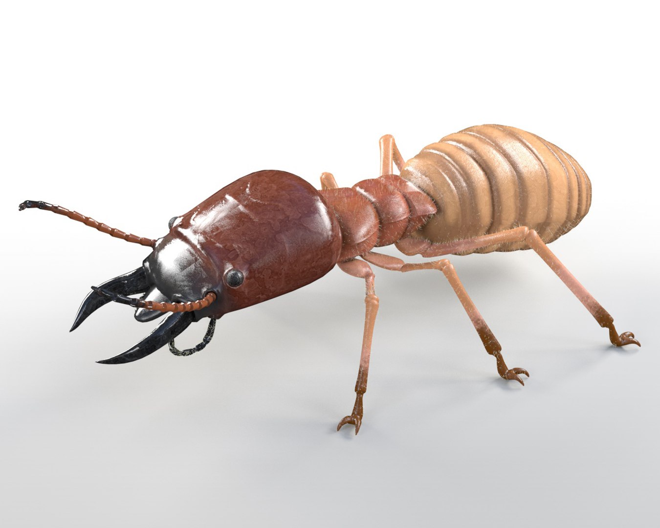 3D rigged 30 model https://p.turbosquid.com/ts-thumb/0Q/TCPYah/IVZzjHQ4/1/jpg/1586185723/1920x1080/fit_q87/06adb1e18028718a255ab3eac55575967deefd25/1.jpg