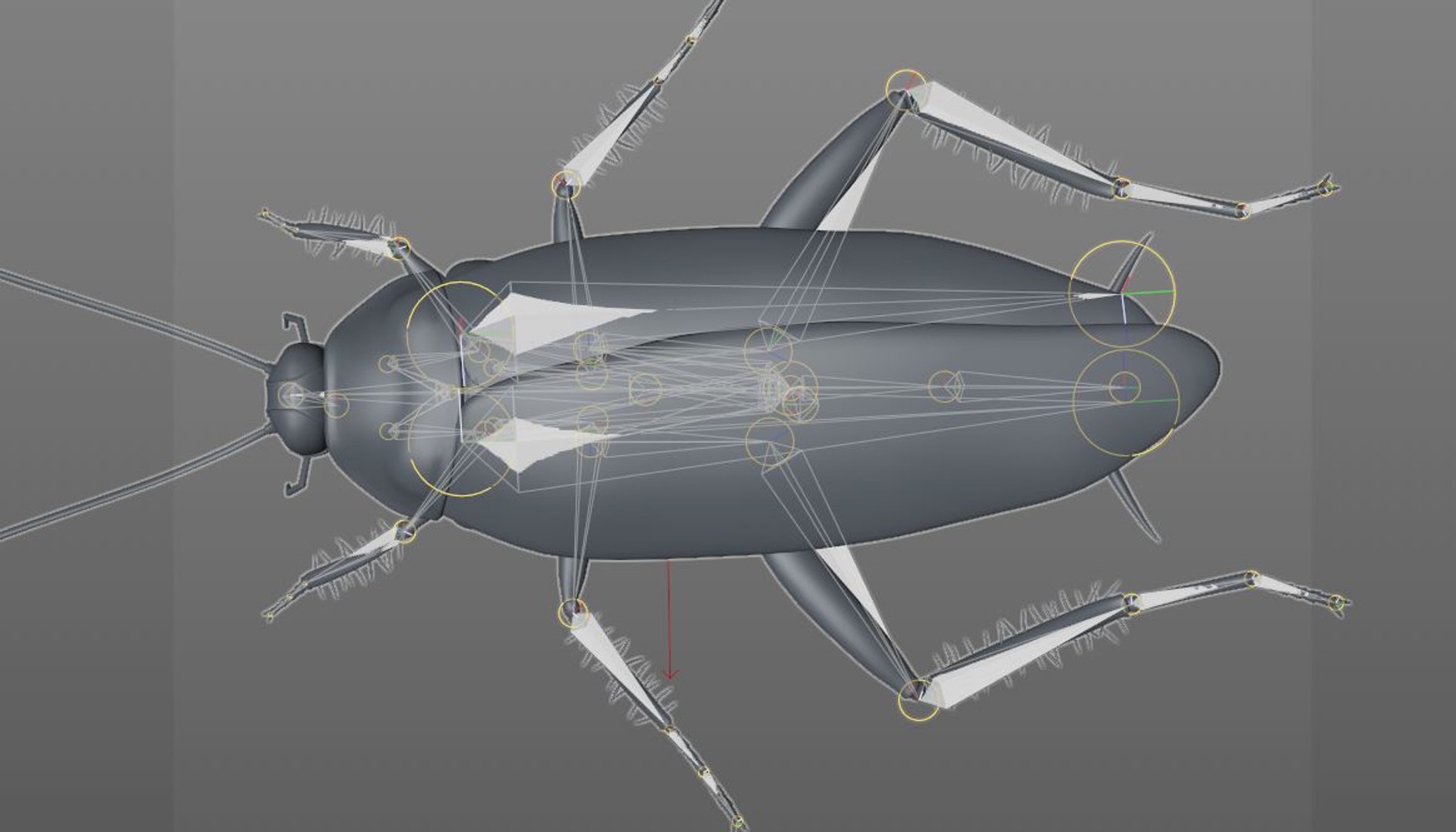 3D rigged 30 model https://p.turbosquid.com/ts-thumb/0Q/TCPYah/IzkI4BQJ/cockroach12/jpg/1586185491/1920x1080/fit_q87/5fc45a06d8fa07260ac7956c8dcf29e3f89f07df/cockroach12.jpg