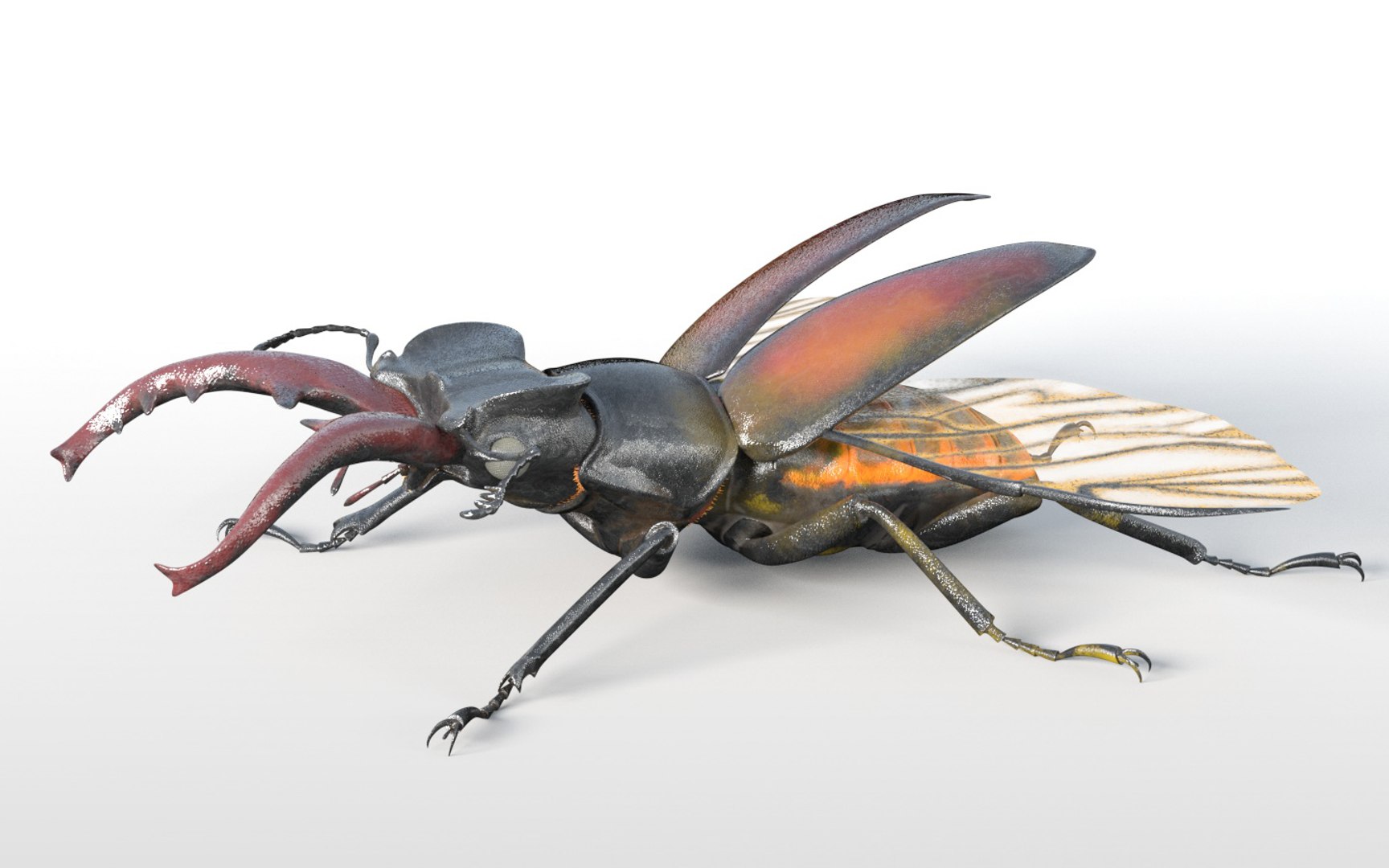 3D rigged 30 model https://p.turbosquid.com/ts-thumb/0Q/TCPYah/JAhThN6l/1/jpg/1586185721/1920x1080/fit_q87/3f3cc786849f259e653a9cc17b535ff357a995e9/1.jpg