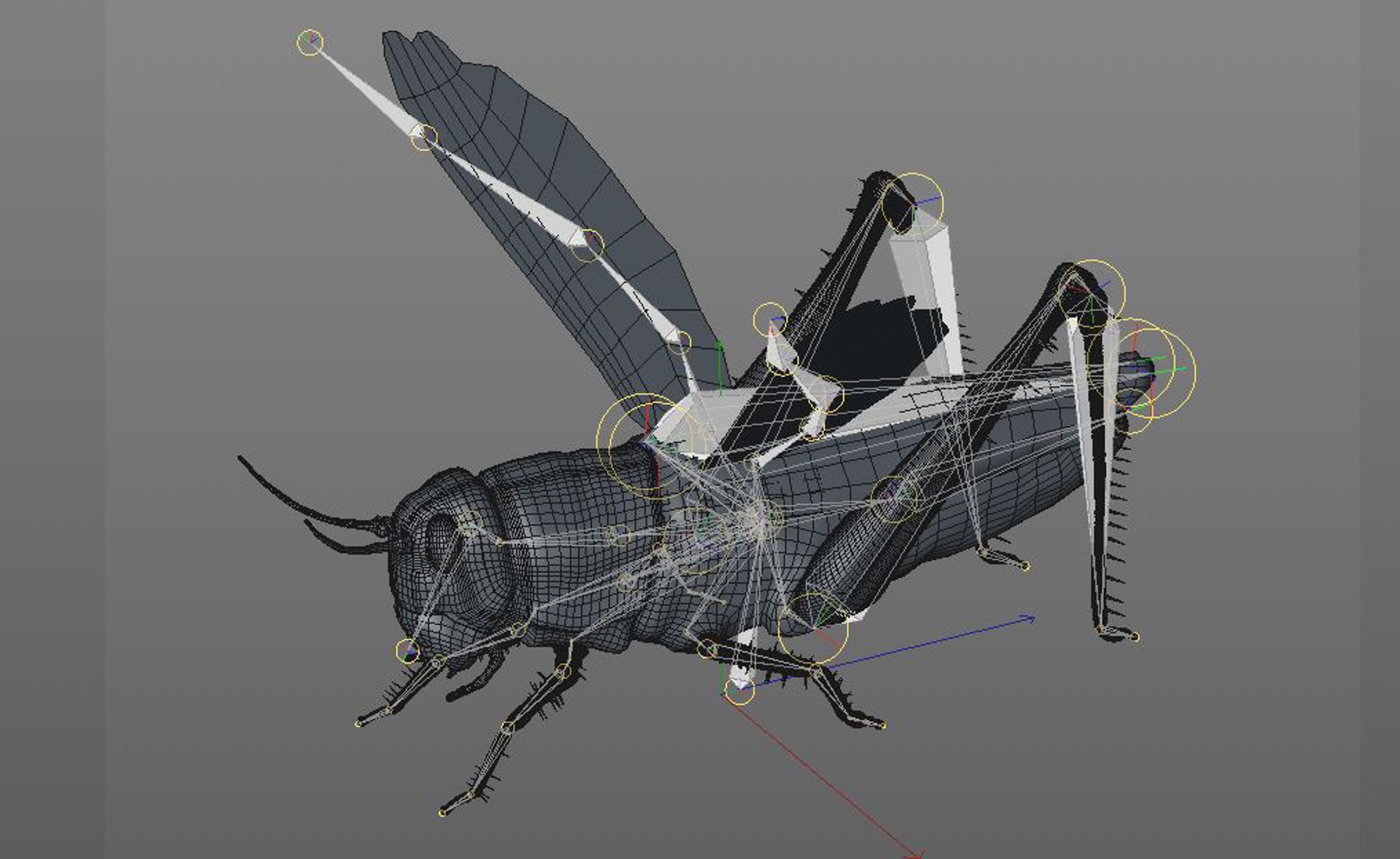 3D rigged 30 model https://p.turbosquid.com/ts-thumb/0Q/TCPYah/TT6n8T6H/11/jpg/1586185599/1920x1080/fit_q87/a1d041acf32c7da4a7e04a48fce90ff1322242b9/11.jpg