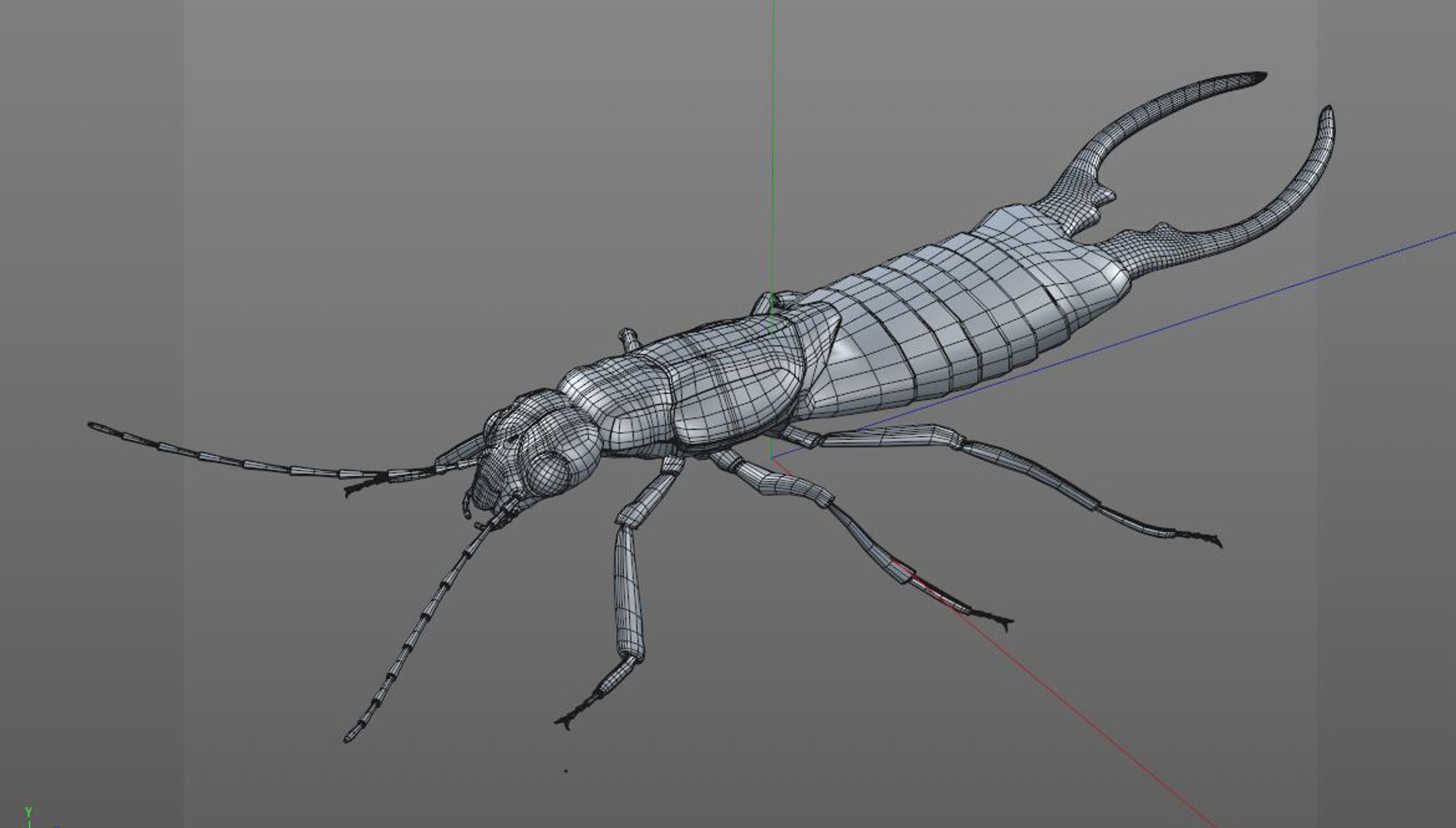 3D rigged 30 model https://p.turbosquid.com/ts-thumb/0Q/TCPYah/WQNrjobT/earwig13/jpg/1586185545/1920x1080/fit_q87/dde9430fa8f87489c95493d3a7f9bea0c821c49c/earwig13.jpg
