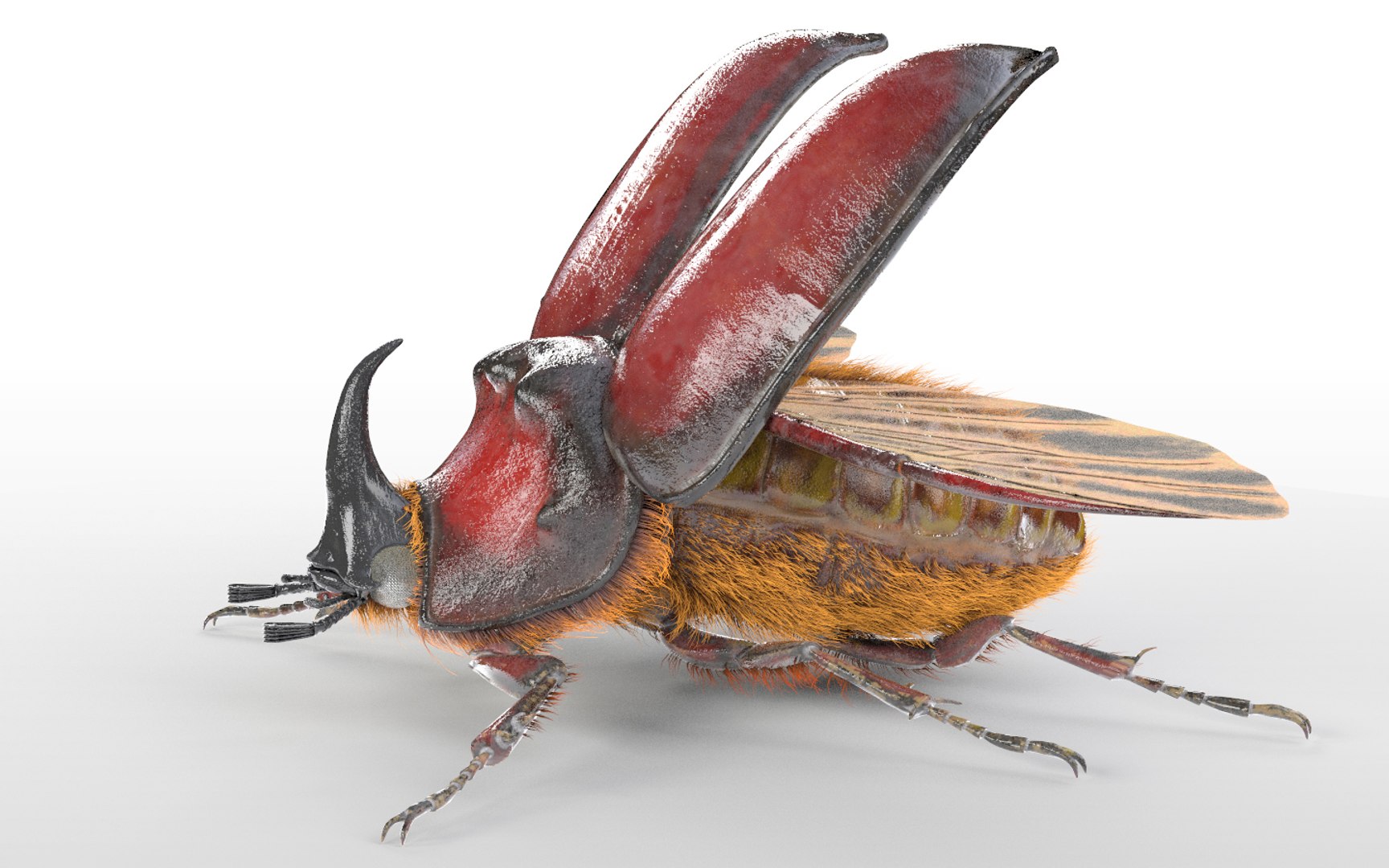 3D rigged 30 model https://p.turbosquid.com/ts-thumb/0Q/TCPYah/hOZCvRVW/1/jpg/1586185719/1920x1080/fit_q87/01737b3c2fde5c86ff66a4473d5629a68e8892cd/1.jpg