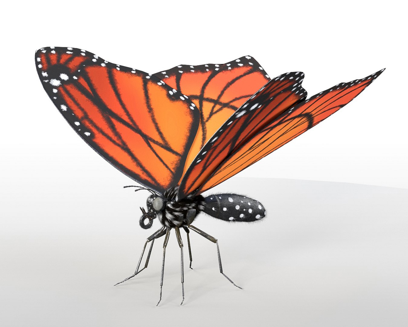 3D rigged 30 model https://p.turbosquid.com/ts-thumb/0Q/TCPYah/ivXaR1kL/butterfly1/jpg/1586185468/1920x1080/fit_q87/7c87c88131e696dcaecb2bd131d84d1b8cf0f45b/butterfly1.jpg