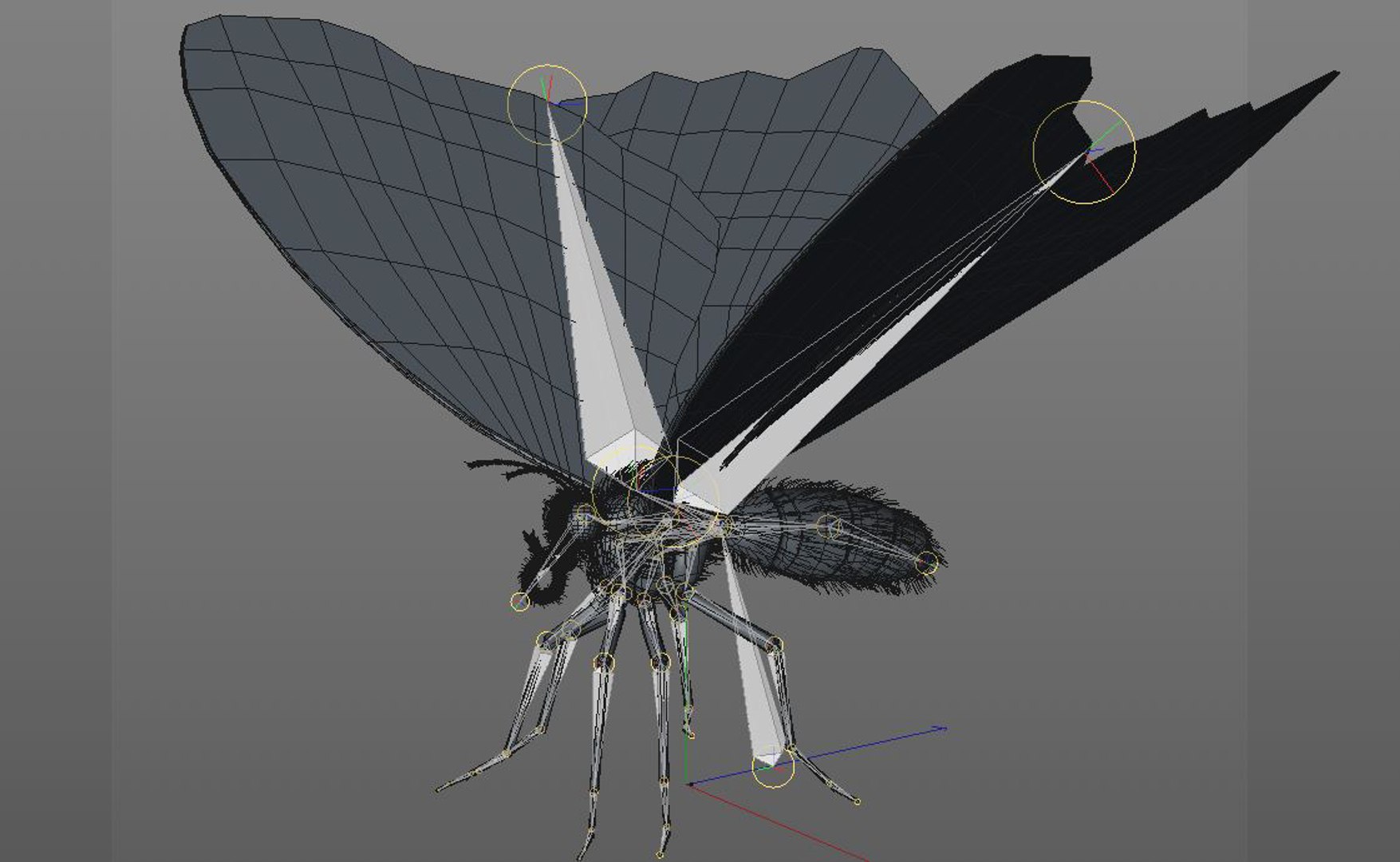 3D rigged 30 model https://p.turbosquid.com/ts-thumb/0Q/TCPYah/laIhIPzB/butterfly9/jpg/1586185468/1920x1080/fit_q87/a553bf838002d879e82395f399ab860bd4184285/butterfly9.jpg