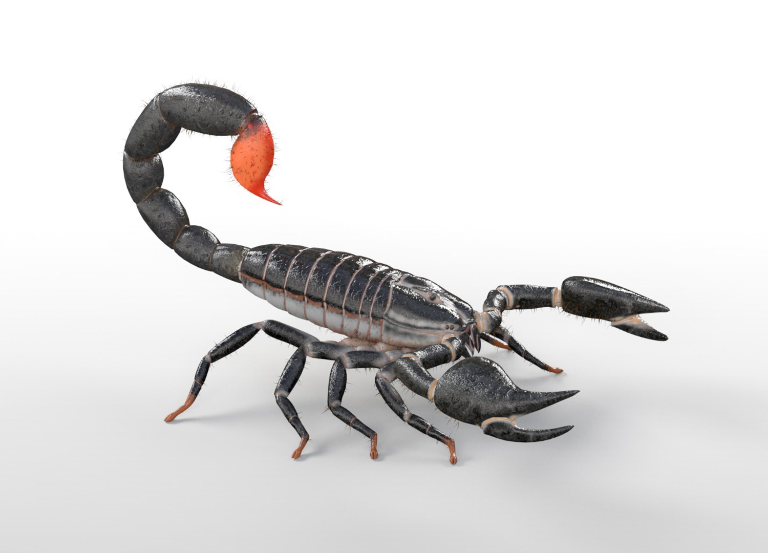 3D rigged 30 model https://p.turbosquid.com/ts-thumb/0Q/TCPYah/mGRQNOpn/2/jpg/1586185719/1920x1080/fit_q87/c9b39b4dc21d53ca8522d085d04a699e28e82403/2.jpg