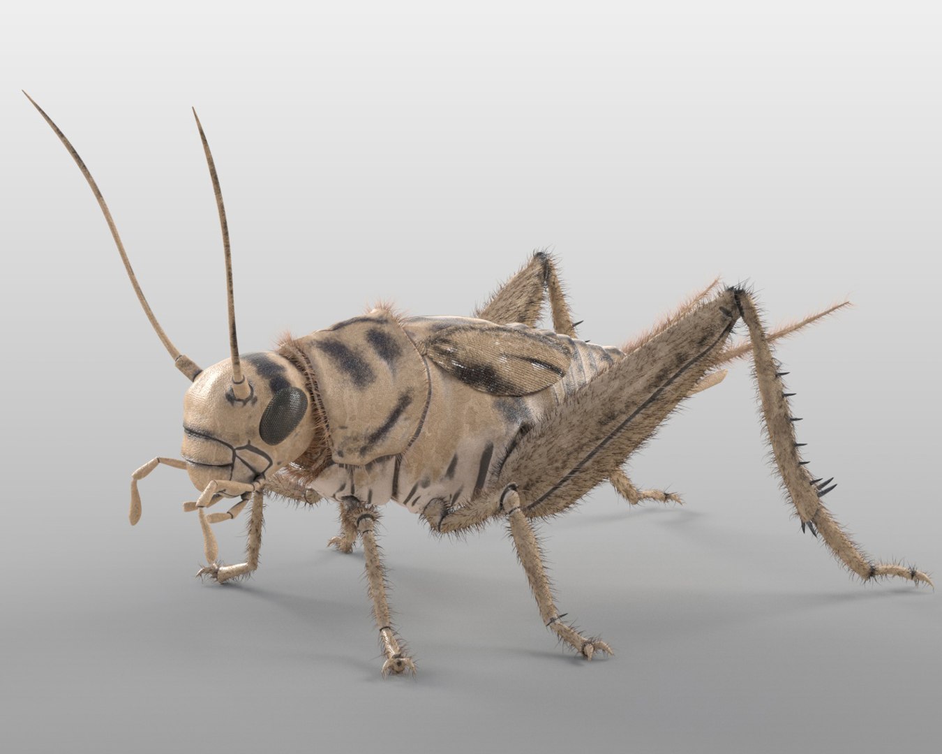 3D rigged 30 model https://p.turbosquid.com/ts-thumb/0Q/TCPYah/qcaLygtH/1/jpg/1586185492/1920x1080/fit_q87/2aa09b93ca9b70ae340649cc9005a0d6e818258b/1.jpg
