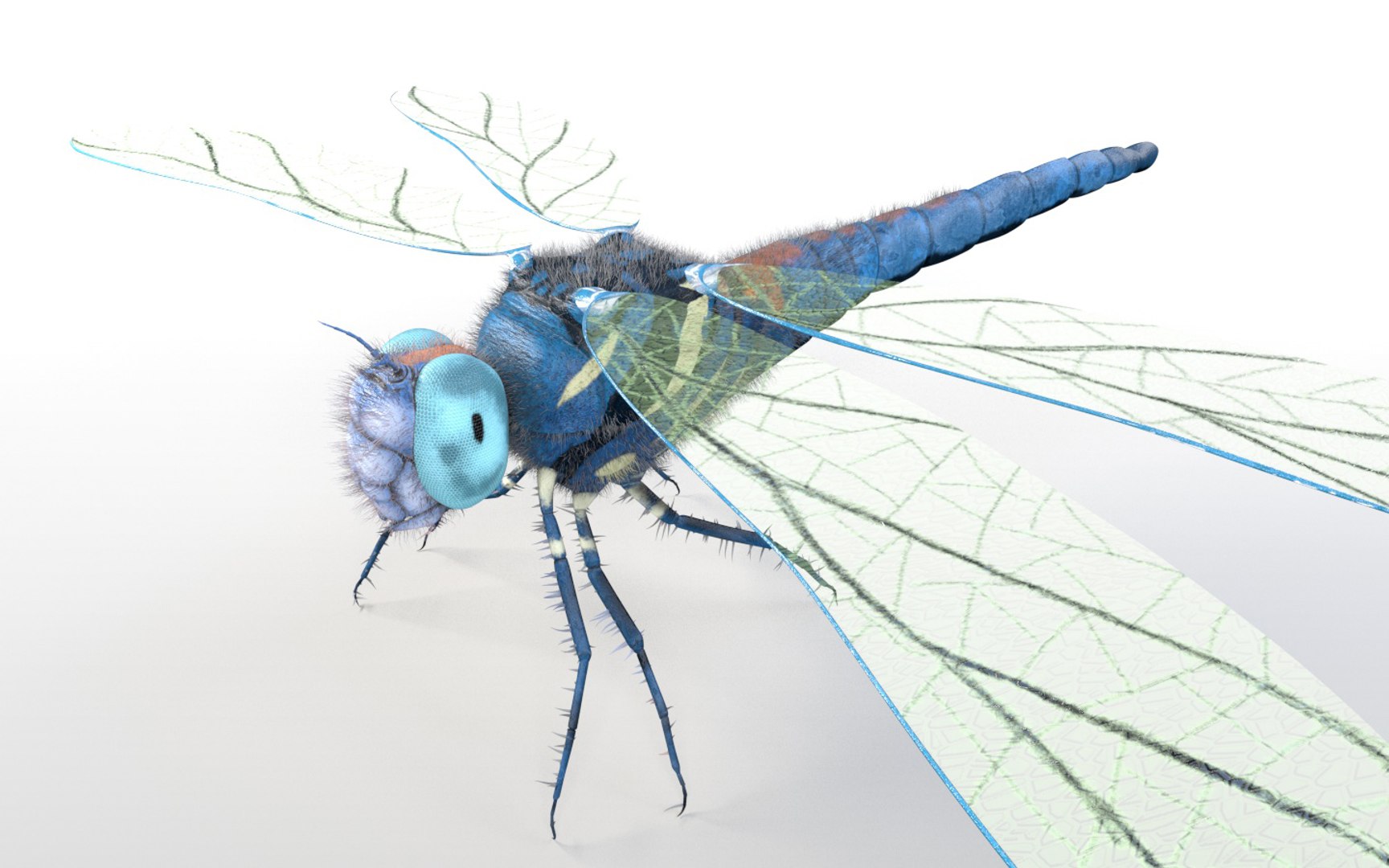 3D rigged 30 model https://p.turbosquid.com/ts-thumb/0Q/TCPYah/rw6TSKzX/dfly2/jpg/1586185493/1920x1080/fit_q87/ce34c961d6a7e8383f892cedf28acd9eeb2f84f3/dfly2.jpg