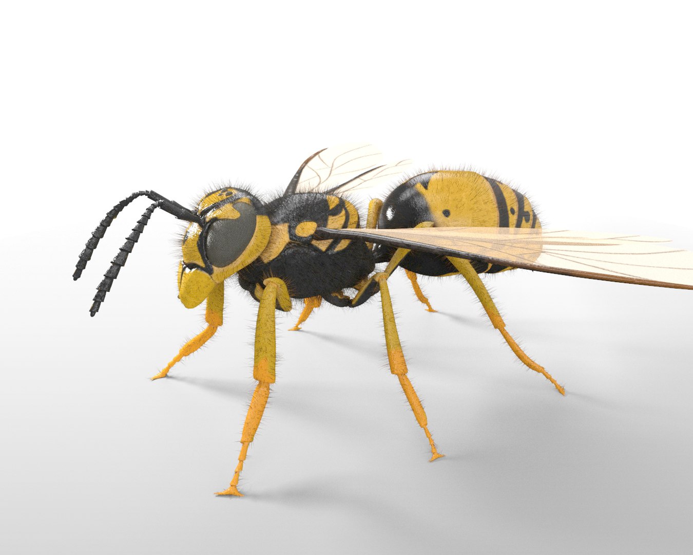 3D rigged 30 model https://p.turbosquid.com/ts-thumb/0Q/TCPYah/tYrqNR5R/2/jpg/1586185727/1920x1080/fit_q87/0960b63df11e58b199d6e1922382993f3501f2c0/2.jpg