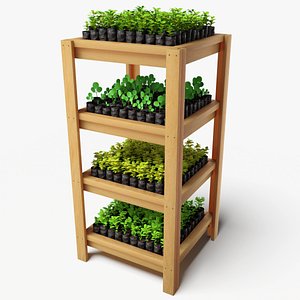 Plant Display 3D