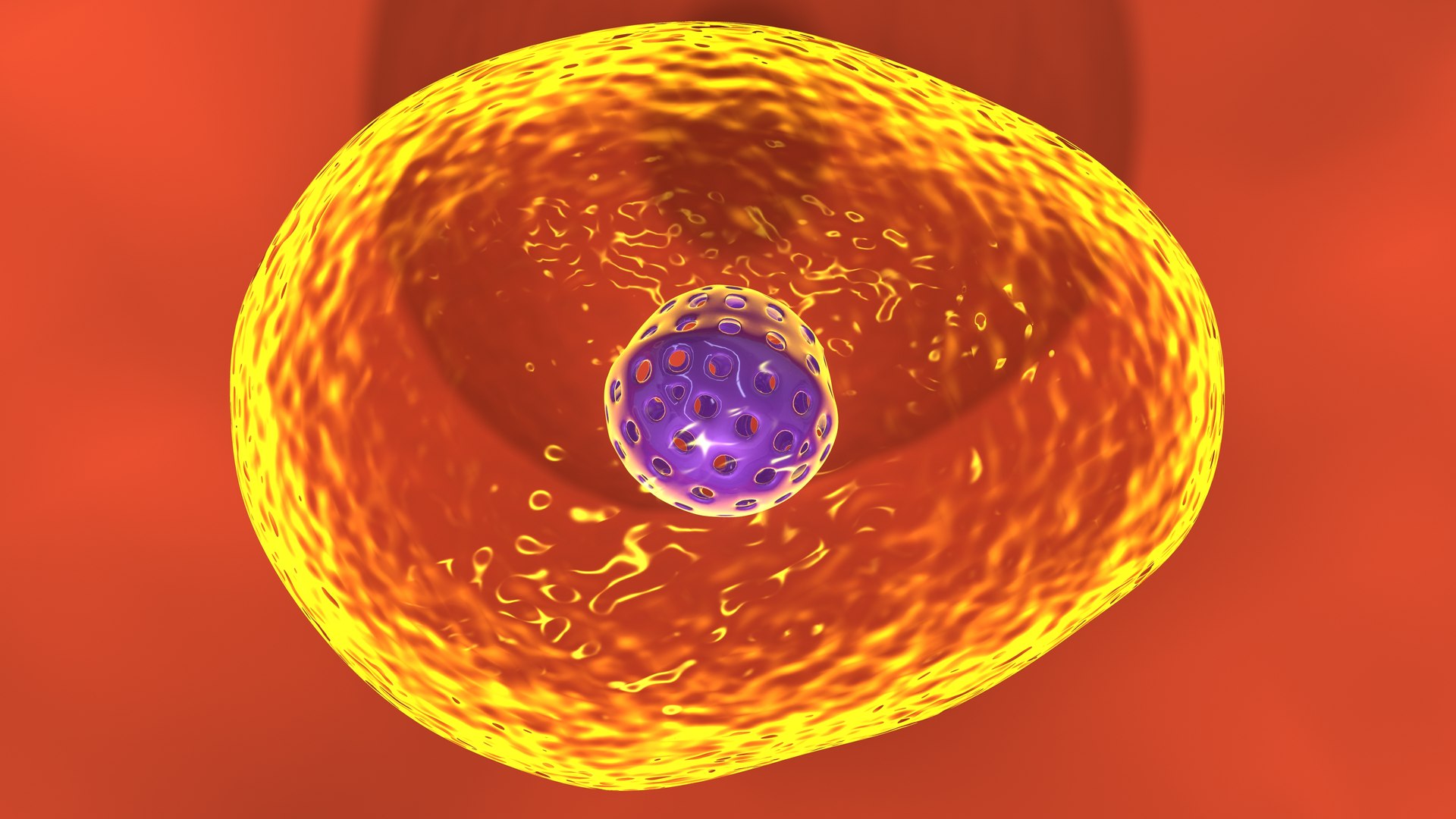 Yeast Fungi And Saccharomyces Cerevisiae 3D Model - TurboSquid 1852886