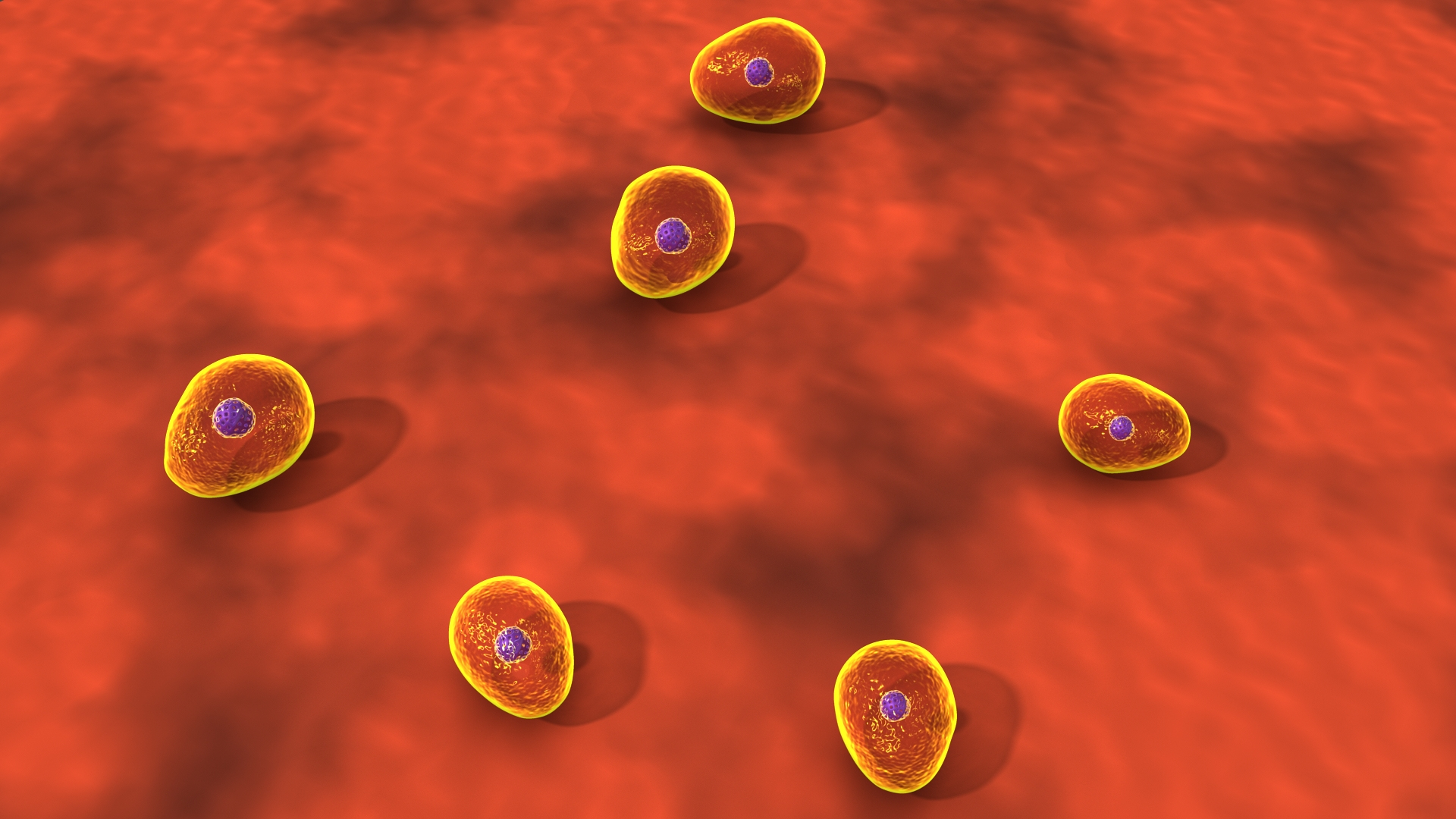 Yeast Fungi And Saccharomyces Cerevisiae 3D Model - TurboSquid 1852886