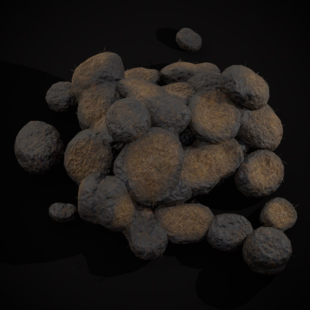Horse Poop Version 2 3D model https://p.turbosquid.com/ts-thumb/0R/3cqCok/EW/r7/png/1705344472/1920x1080/fit_q87/254dd364a3870192da8cf64fde41081b9e445f34/r7.jpg