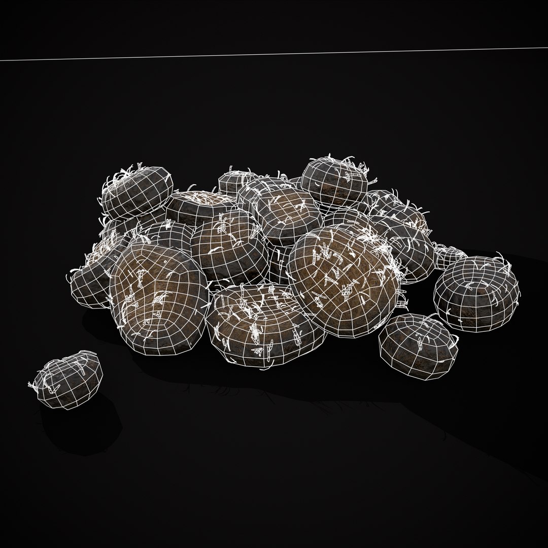 Horse Poop Version 2 3D model https://p.turbosquid.com/ts-thumb/0R/3cqCok/ri/r16/png/1705344552/1920x1080/fit_q87/59b3fccb445fb4688d98de81fac8b810842e0390/r16.jpg
