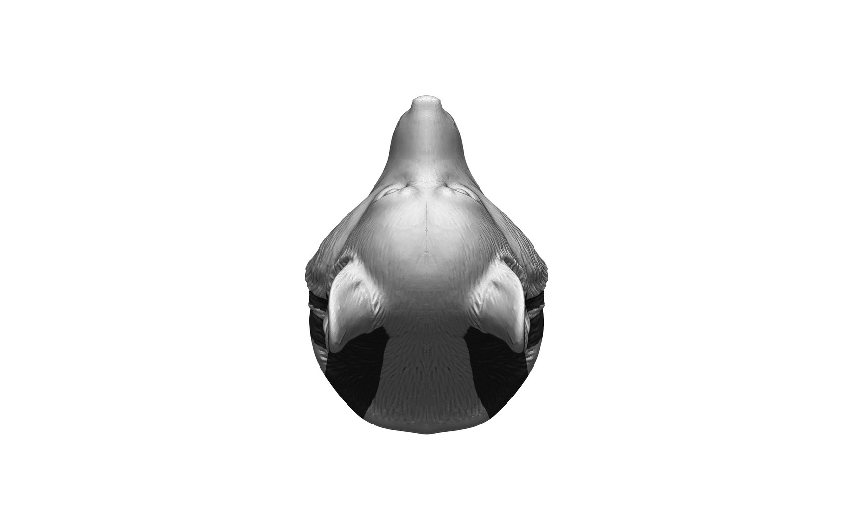 3D Dog 3 https://p.turbosquid.com/ts-thumb/0R/8hF3Vw/dd/5/jpg/1680944799/1920x1080/fit_q87/ced383cb5da969c896e7543be6cfac77ff8ce914/5.jpg