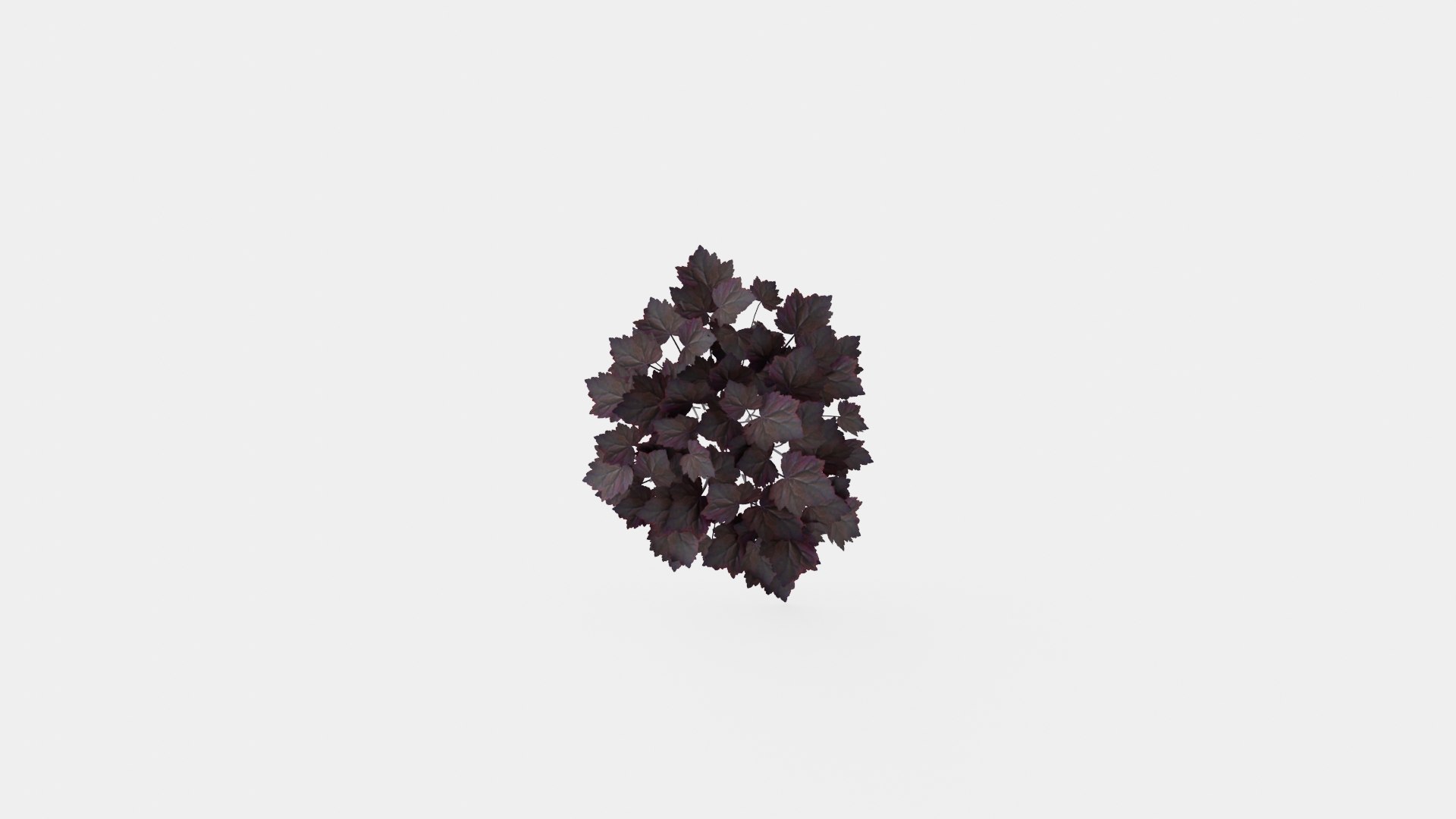 Heuchera Palace Purple Marmoralunrot 3D model https://p.turbosquid.com/ts-thumb/0R/9wG43J/Na/preview__top/jpg/1719813181/1920x1080/fit_q87/b6018ab24c581d87b91eb8302cde9804e15fc3ff/preview__top.jpg