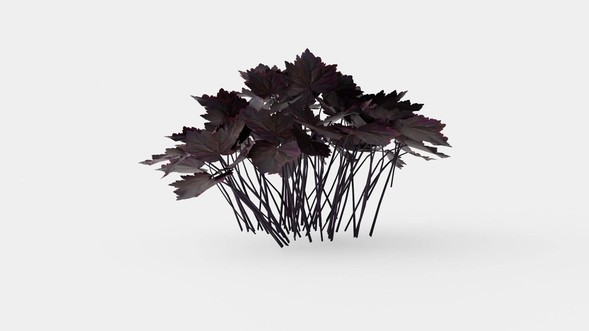 Heuchera Palace Purple Marmoralunrot 3D model https://p.turbosquid.com/ts-thumb/0R/9wG43J/R8/preview_3/jpg/1719813173/1920x1080/fit_q87/4a552ea0c213fd3b99965d4077eaf1f1d8334795/preview_3.jpg