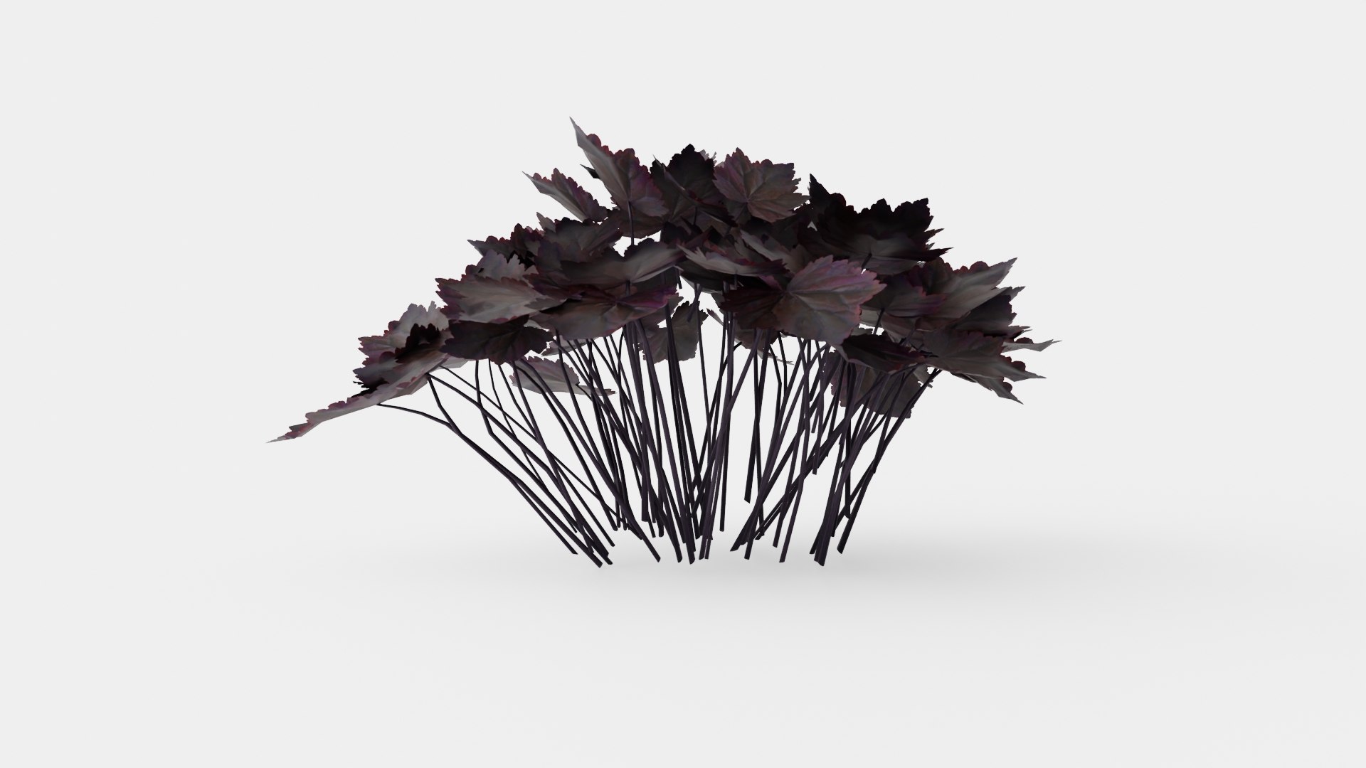 Heuchera Palace Purple Marmoralunrot 3D model https://p.turbosquid.com/ts-thumb/0R/9wG43J/VF/preview_2/jpg/1719813169/1920x1080/fit_q87/e1e9f1f92f70e4c72e210b937decc41588dffca5/preview_2.jpg