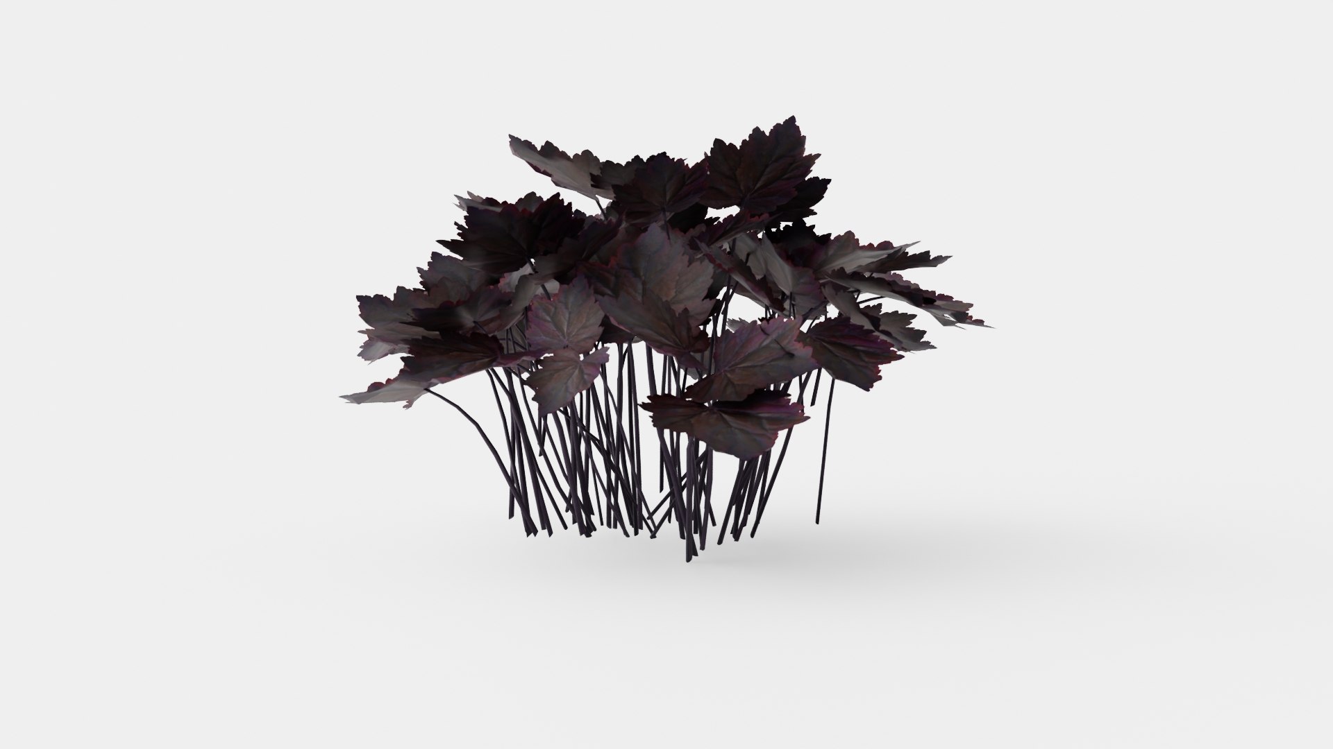 Heuchera Palace Purple Marmoralunrot 3D model https://p.turbosquid.com/ts-thumb/0R/9wG43J/a6/preview_4/jpg/1719813177/1920x1080/fit_q87/82859676f8fa4e2460f4e67eecbefa128abb4240/preview_4.jpg