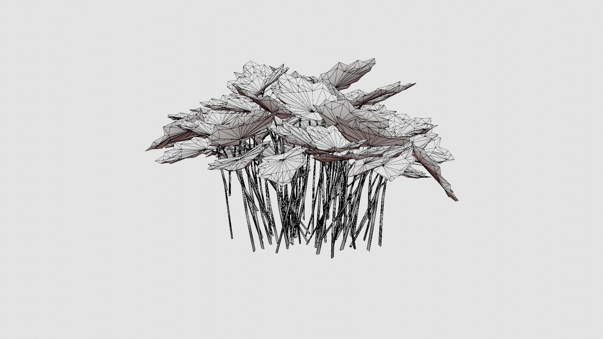 Heuchera Palace Purple Marmoralunrot 3D model https://p.turbosquid.com/ts-thumb/0R/9wG43J/gF/preview_5/jpg/1719813186/1920x1080/fit_q87/e738f57c8b5e08dbd2ee19bd24d5ac150343e2f5/preview_5.jpg