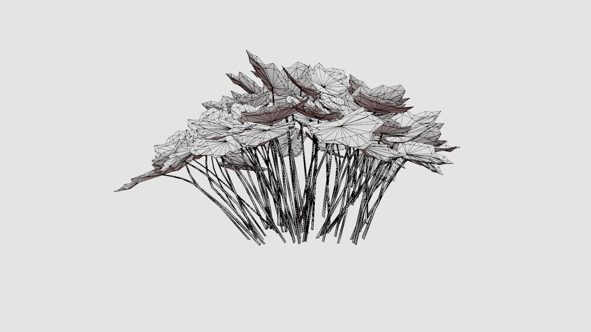 Heuchera Palace Purple Marmoralunrot 3D model https://p.turbosquid.com/ts-thumb/0R/9wG43J/sv/preview_7/jpg/1719813196/1920x1080/fit_q87/28ee9791ae0c87e2ec558e582663410bc016f597/preview_7.jpg