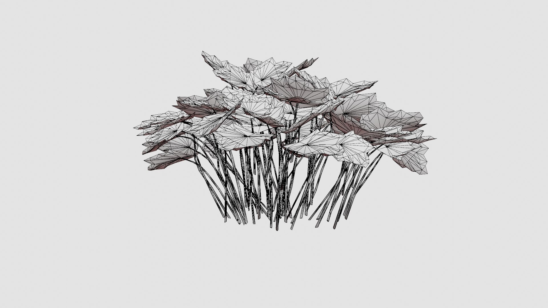 Heuchera Palace Purple Marmoralunrot 3D model https://p.turbosquid.com/ts-thumb/0R/9wG43J/vE/preview_6/jpg/1719813191/1920x1080/fit_q87/1cfff963069b83a8af99447f8502186a9b05f098/preview_6.jpg