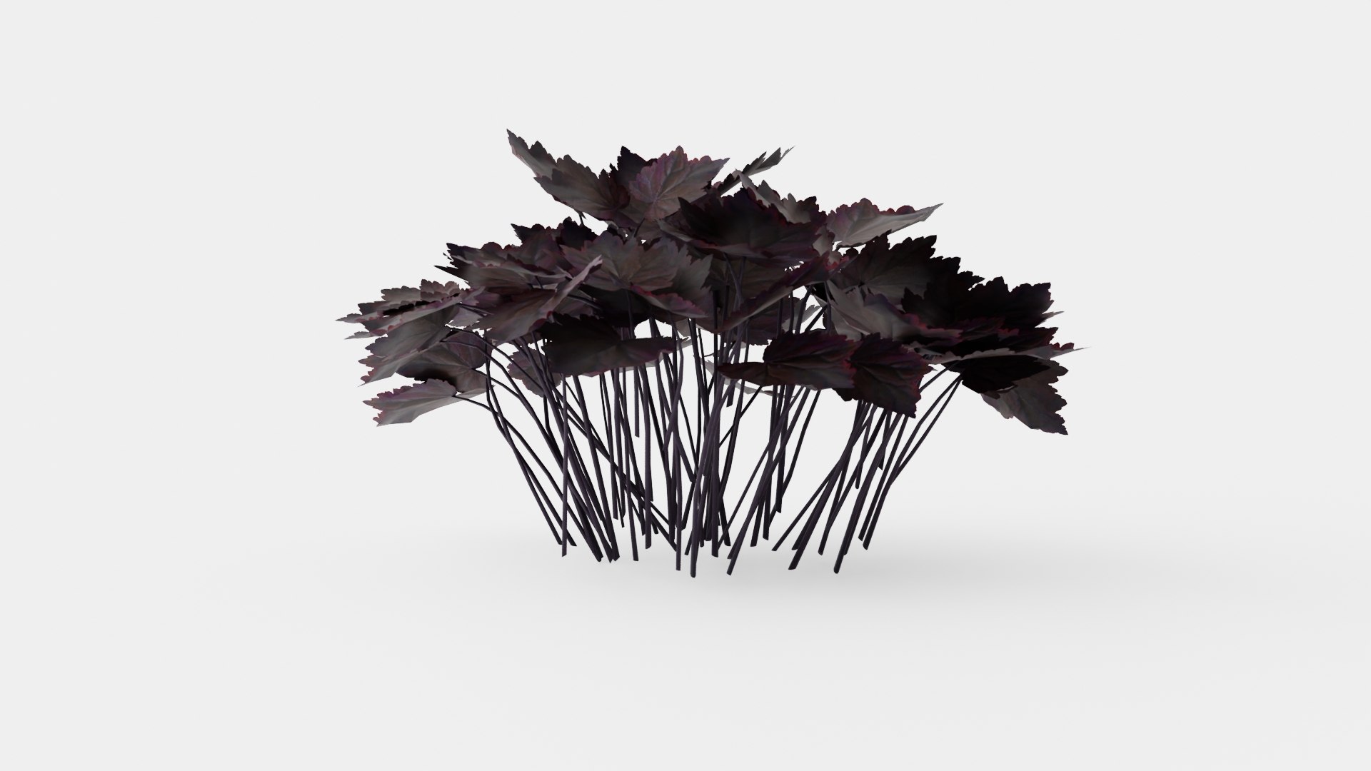 Heuchera Palace Purple Marmoralunrot 3D model https://p.turbosquid.com/ts-thumb/0R/9wG43J/xU/preview_1/jpg/1719813165/1920x1080/fit_q87/219d306a86c7454e6c1dde022c60e76f791a64af/preview_1.jpg